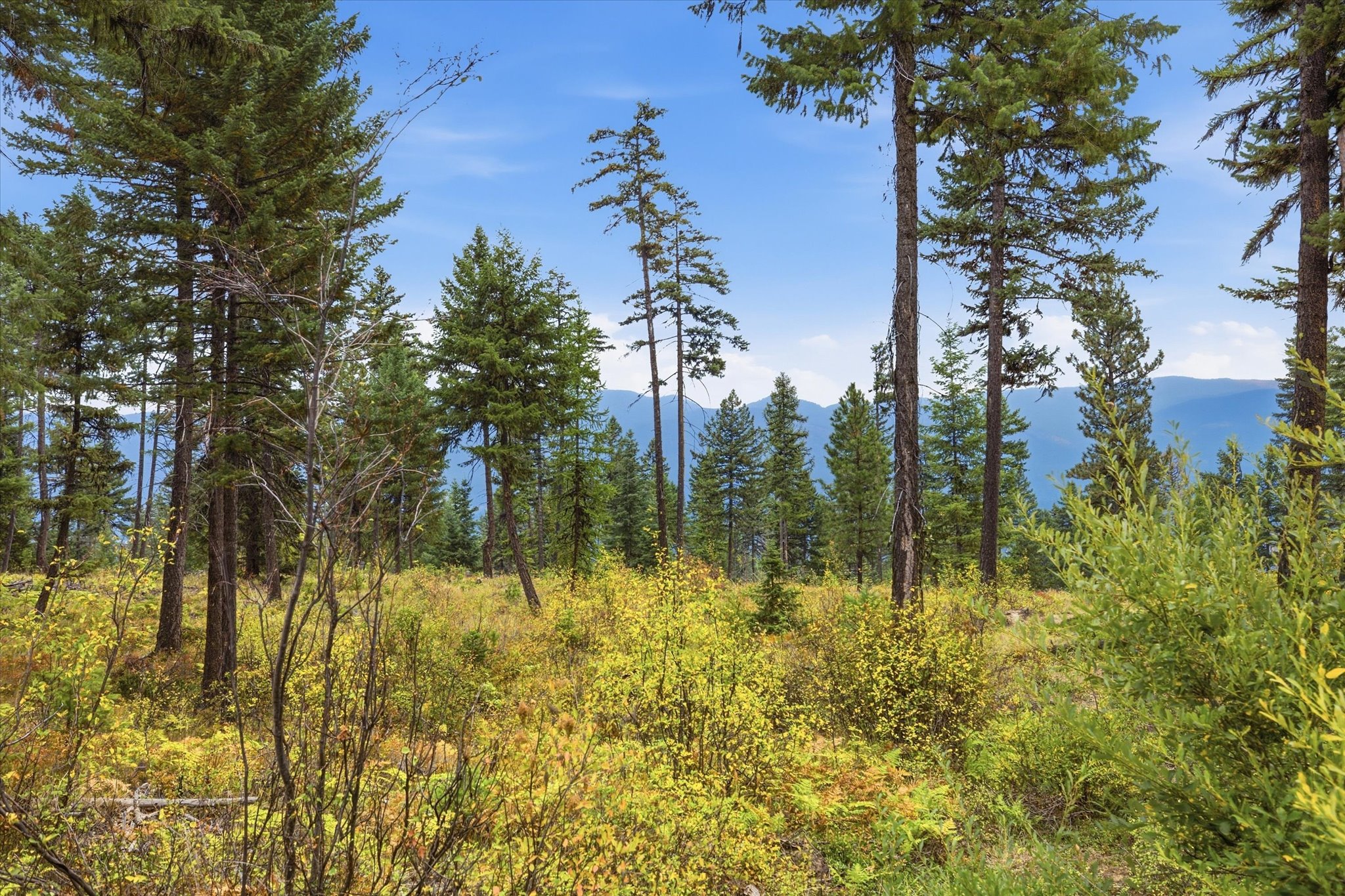 Lot 10 Panoramic View Drive Property Photo 1