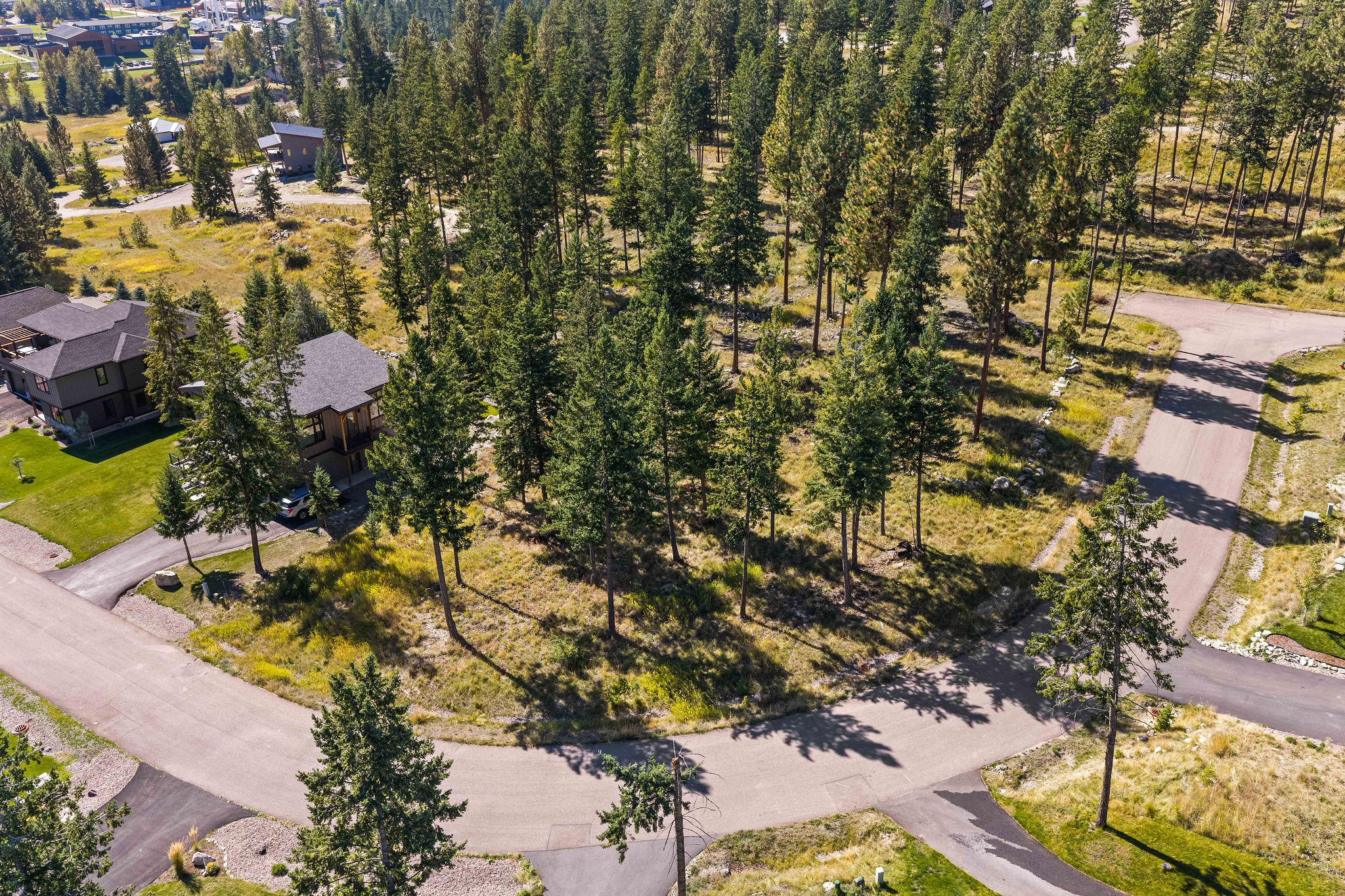 287 Spurwing Loop Property Photo 17