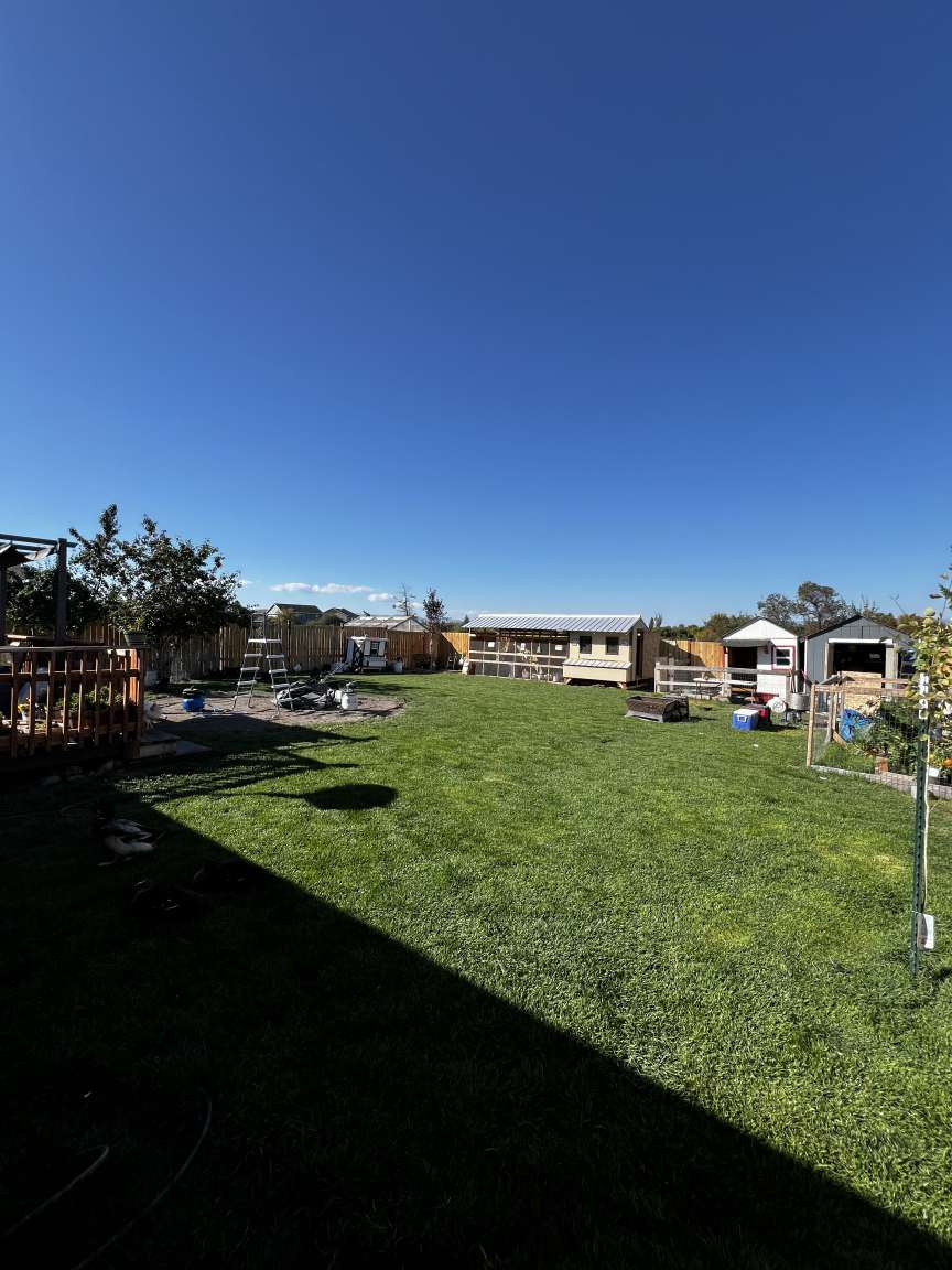 1911 Bluestone Drive Property Photo 14