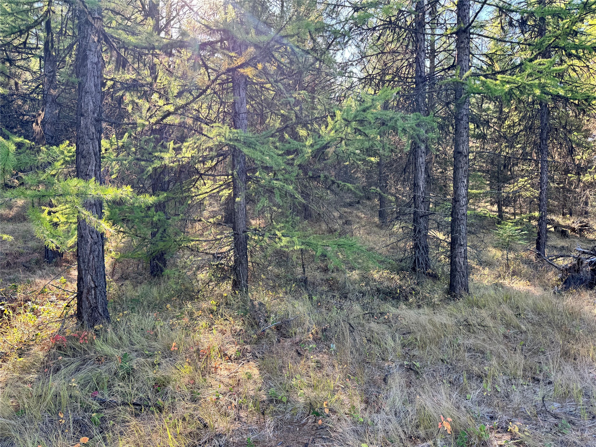 Lot 5 Panoramic View Property Photo 1