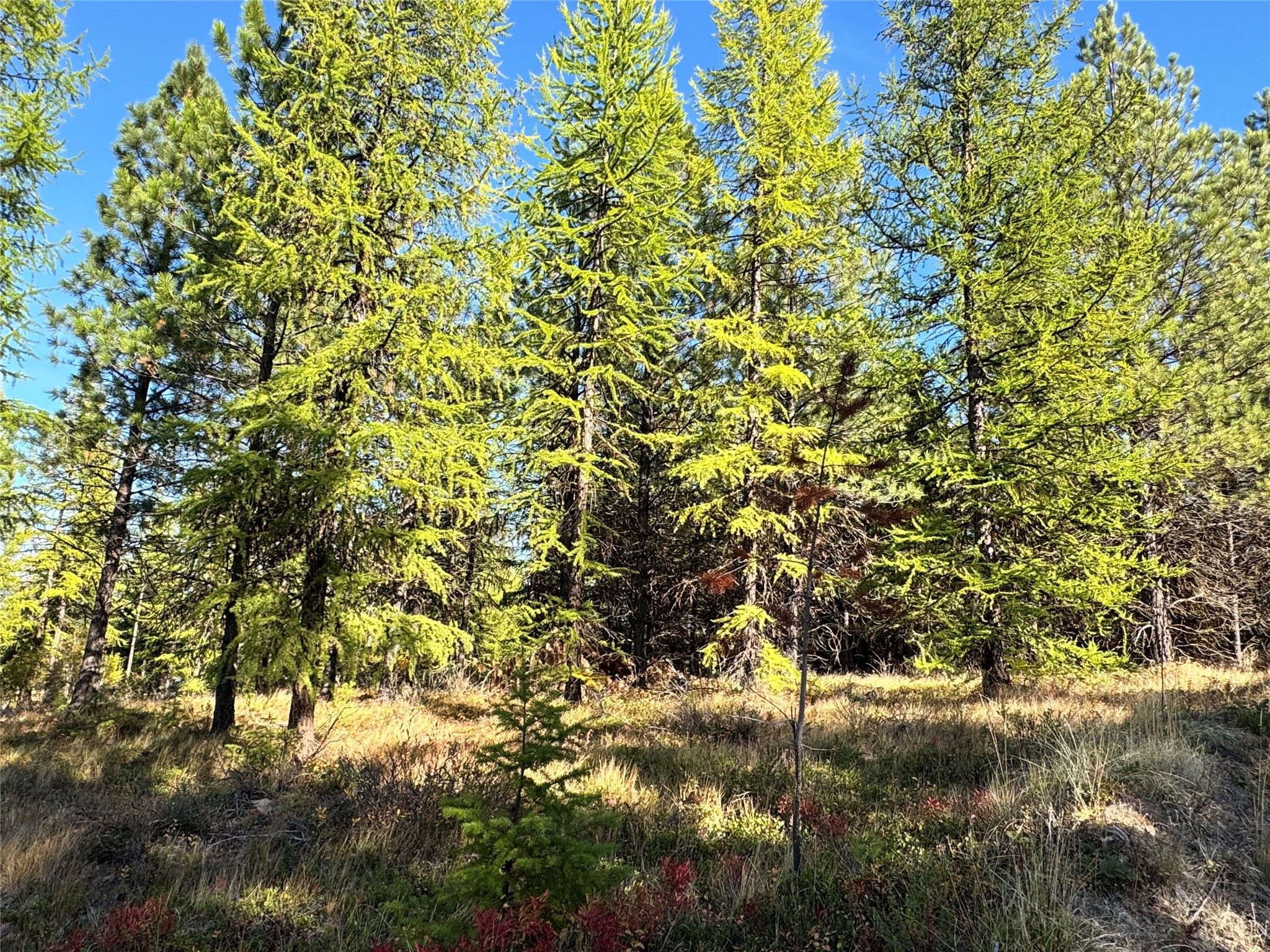 Lot 6 Panoramic View Property Photo 9