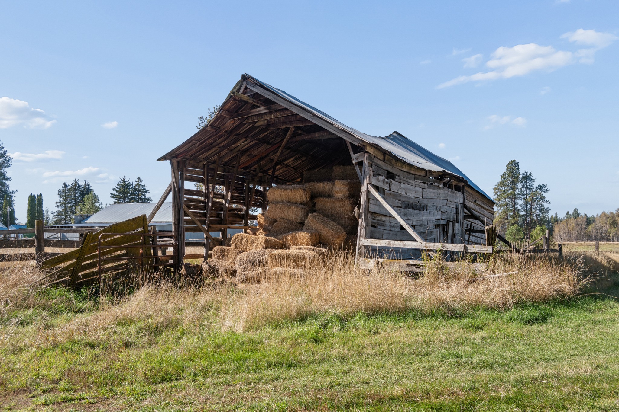 345 Wishart Road Property Photo 47