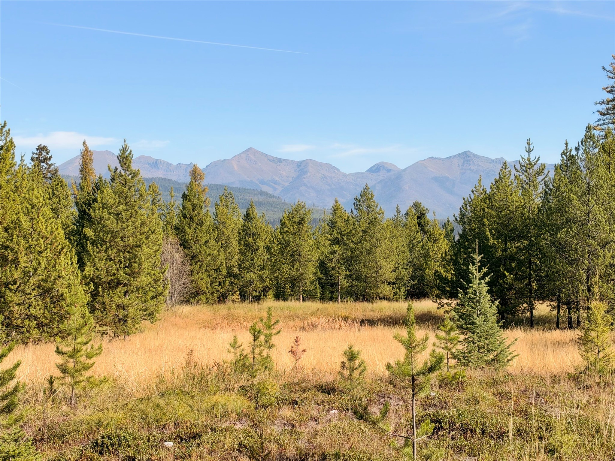 818 Beaver Creek Road Property Photo 3