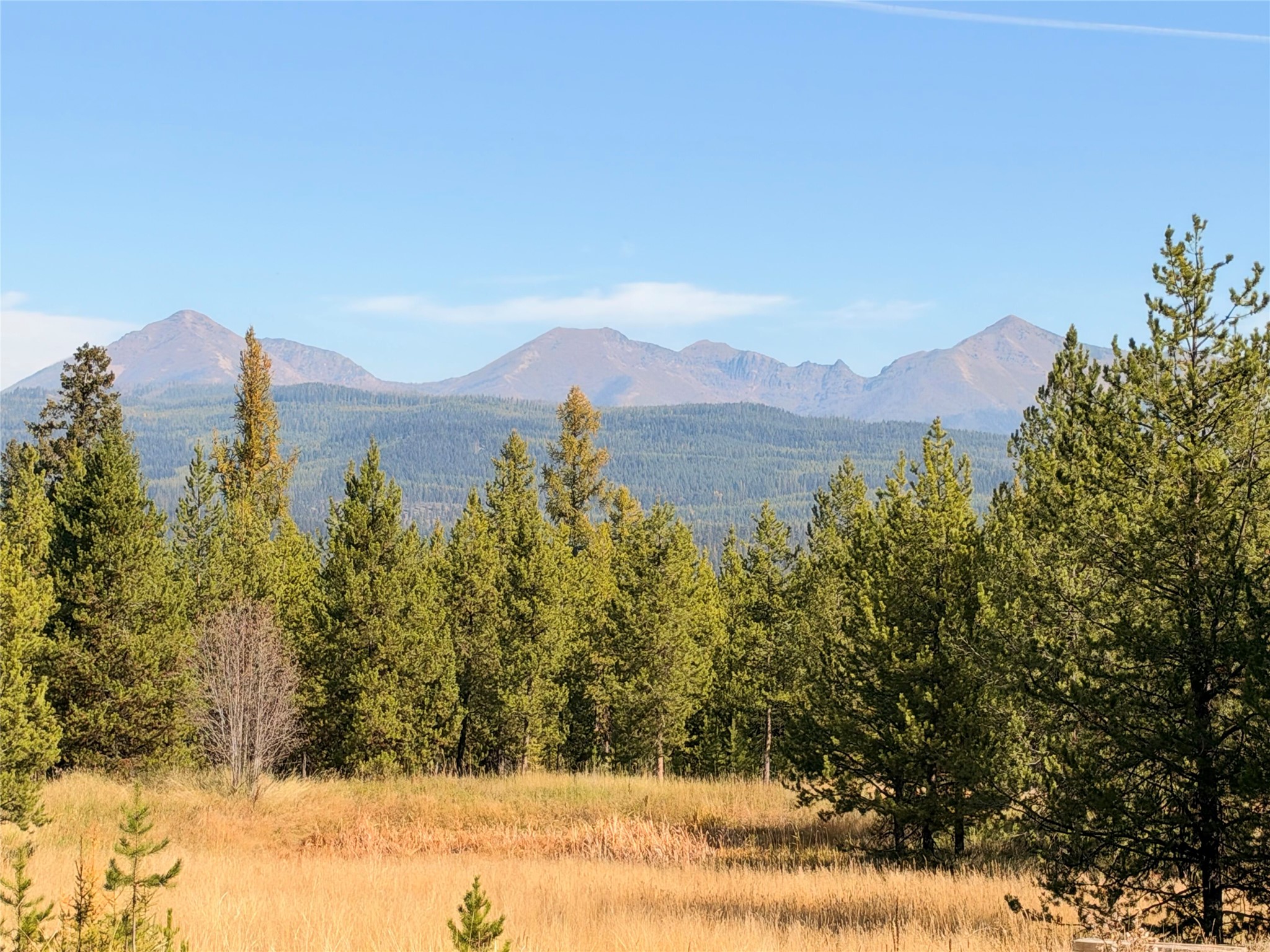 818 Beaver Creek Road Property Photo 4