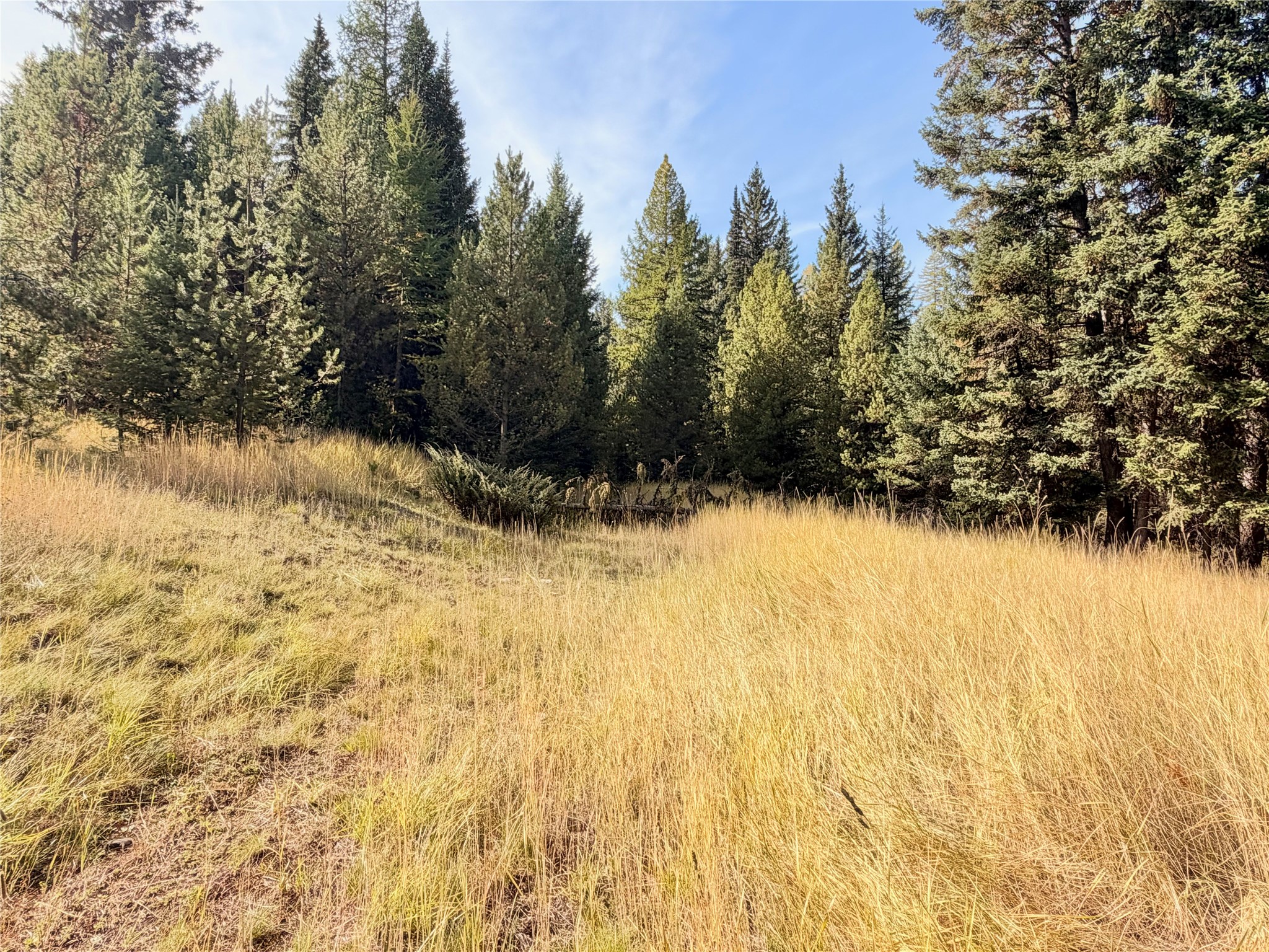 818 Beaver Creek Road Property Photo 42