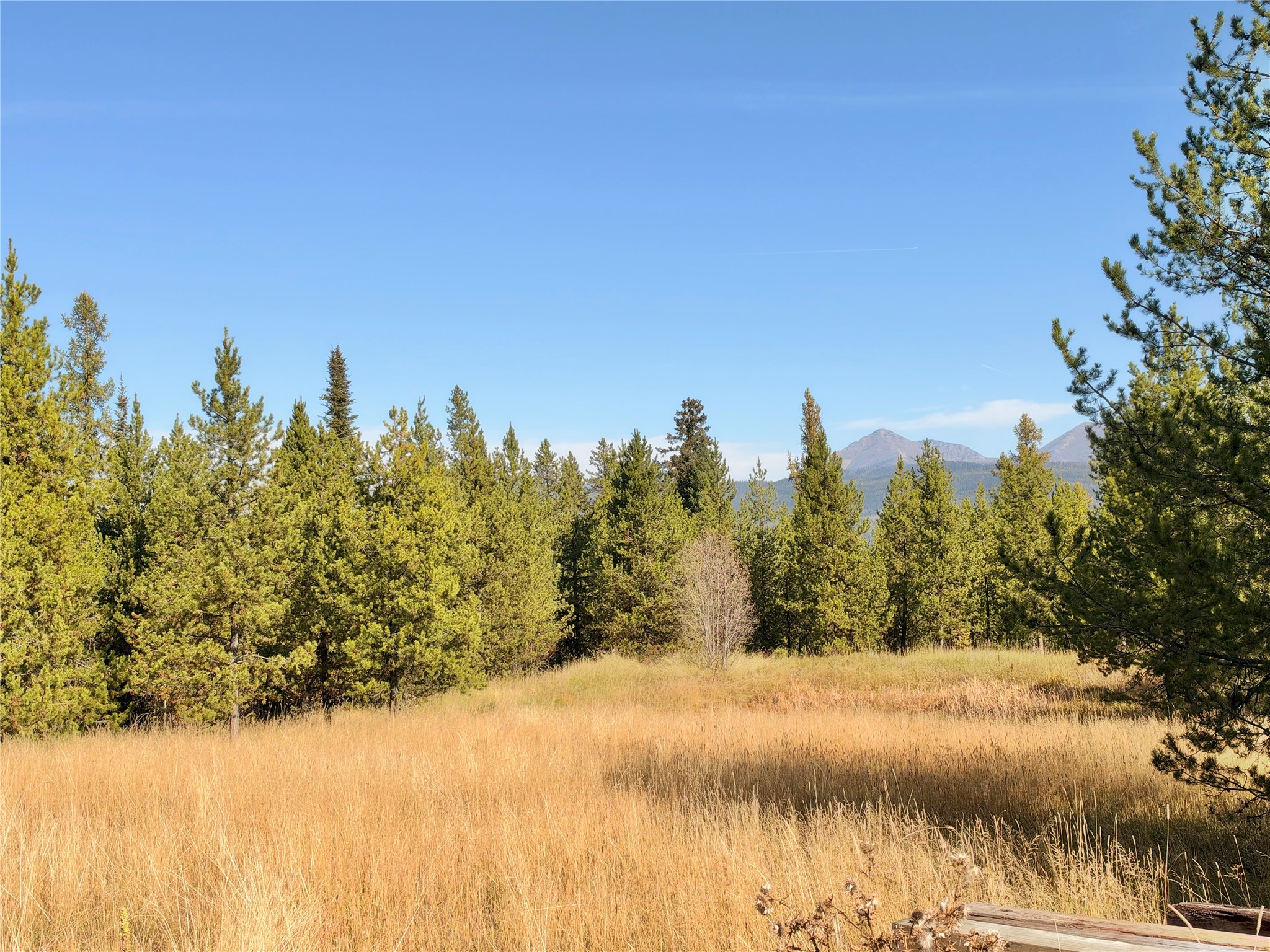 818 Beaver Creek Road Property Photo 43