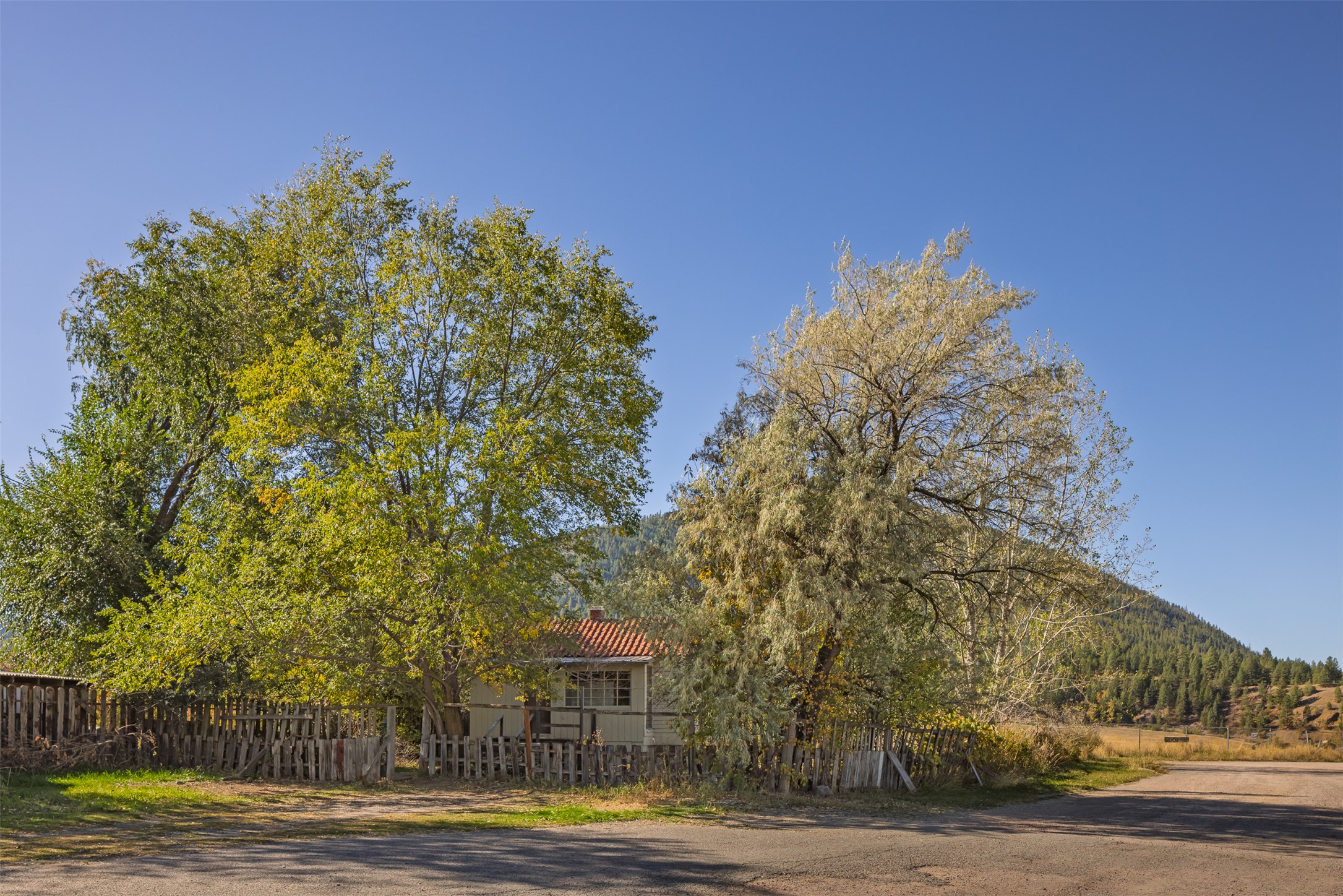 111 Daytona Loop Property Photo 6