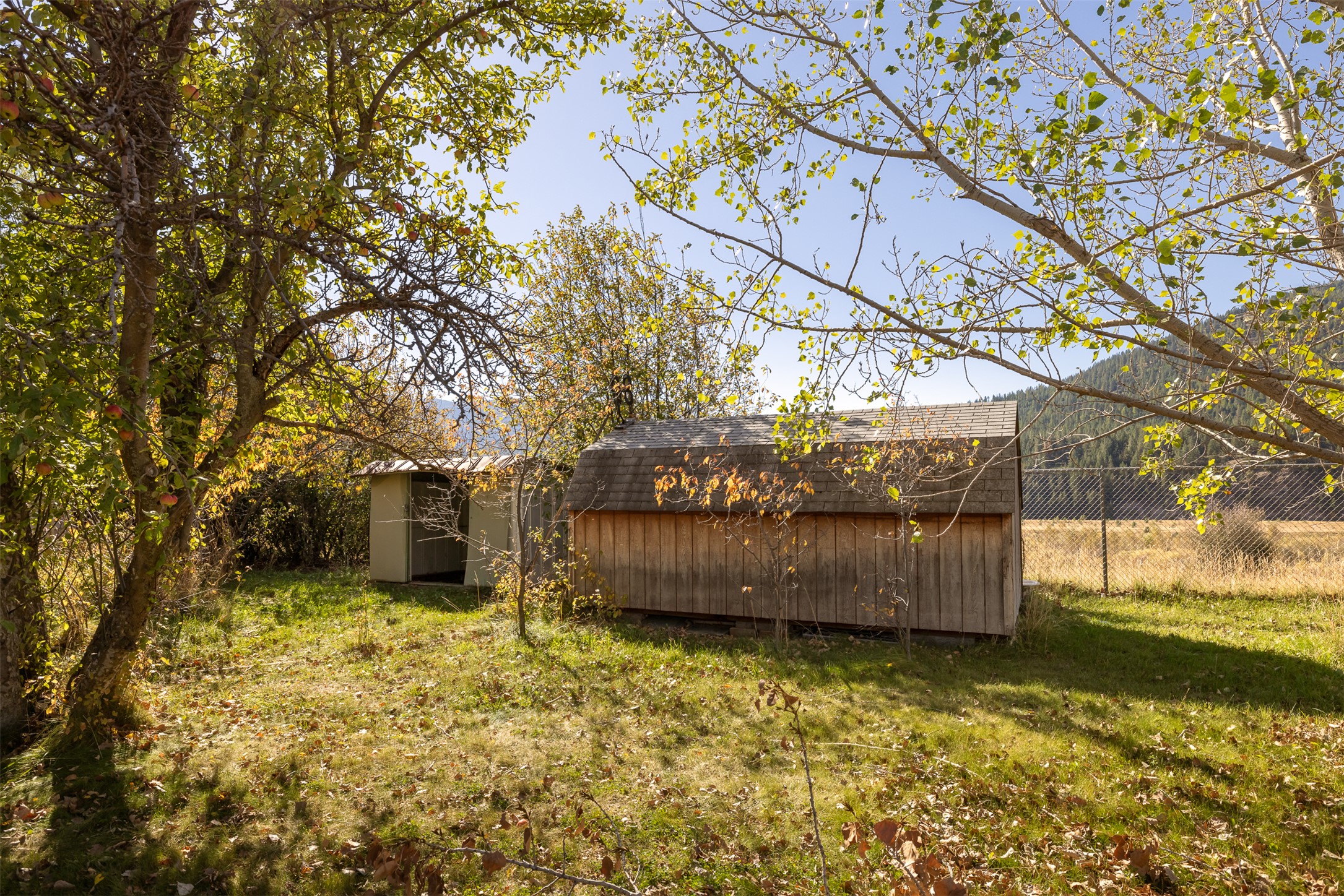 111 Daytona Loop Property Photo 15