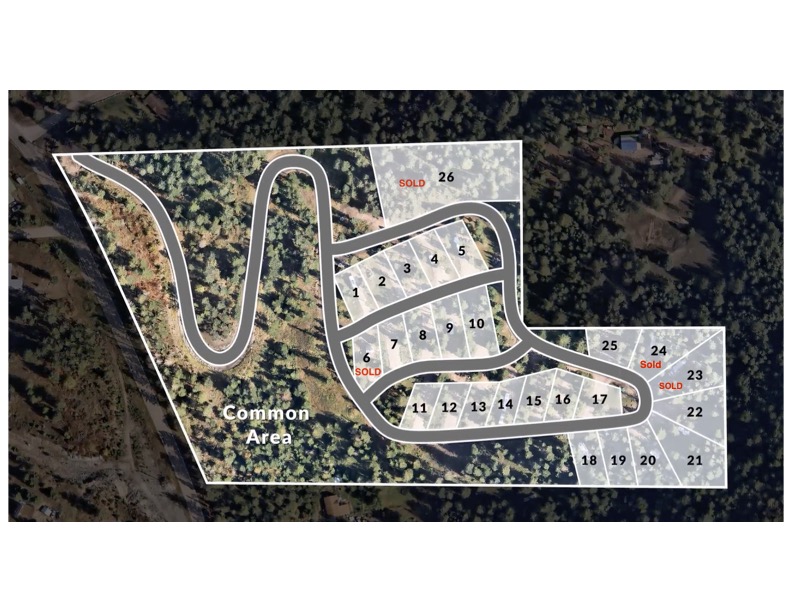 32720 Pine Meadow Drive Property Photo 15
