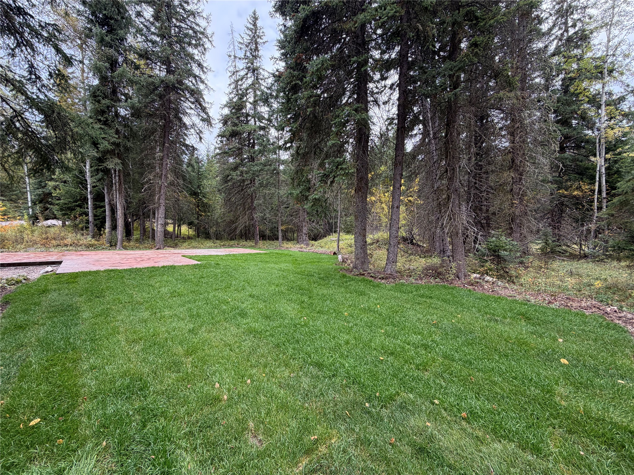 32631 Pine Meadow Drive Property Photo 2