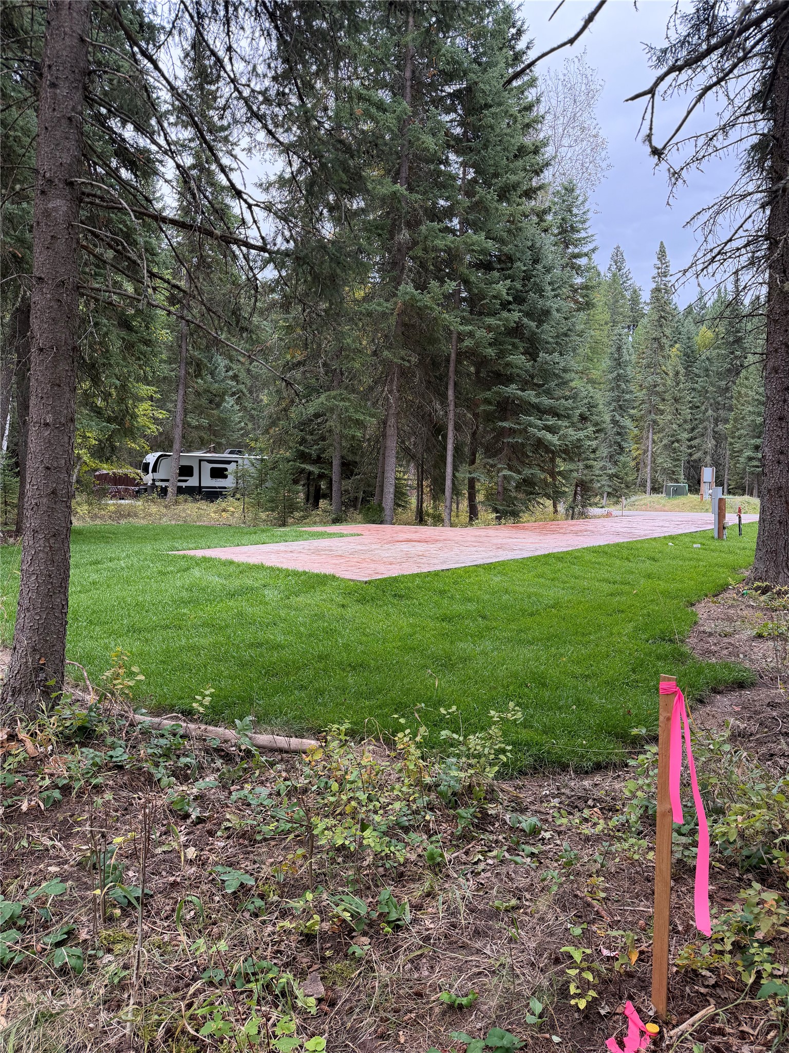 32631 Pine Meadow Drive Property Photo 3