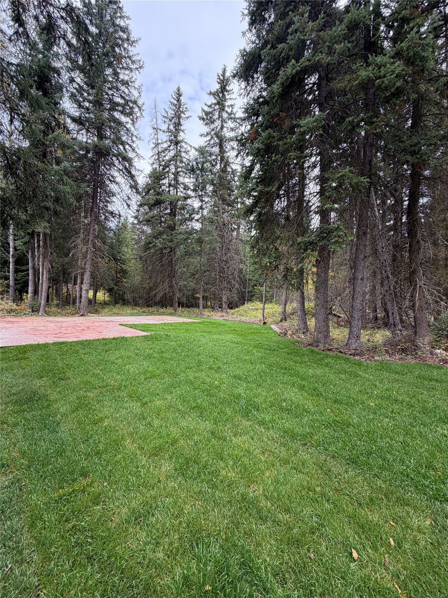 32631 Pine Meadow Drive Property Photo 4