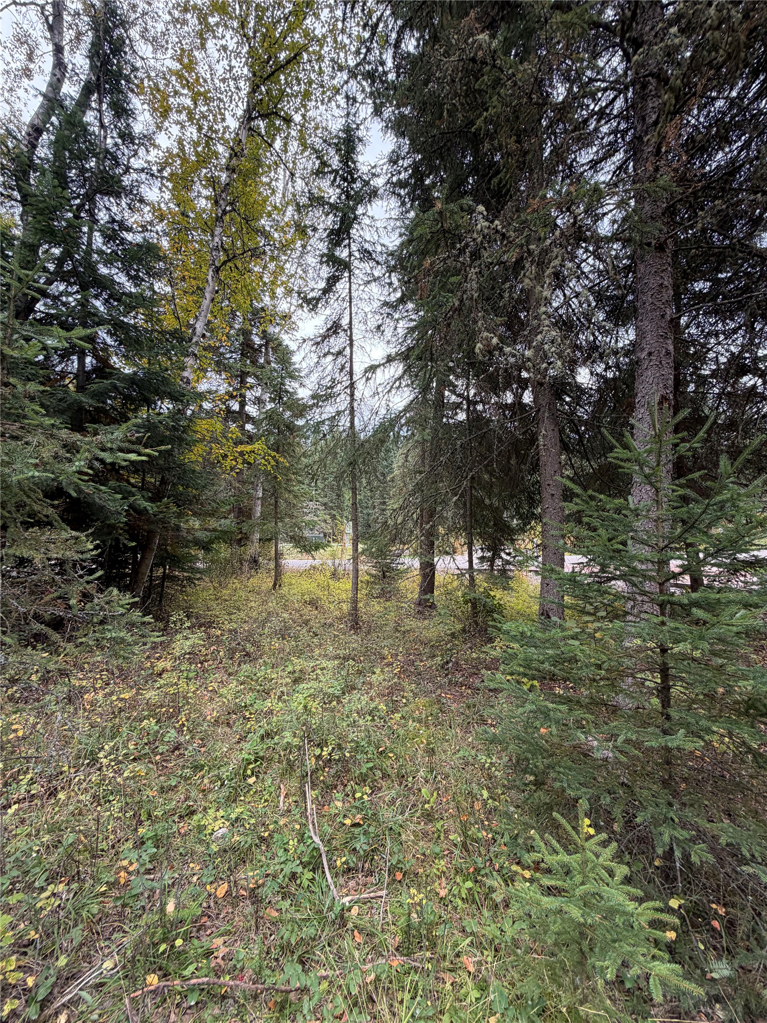 32631 Pine Meadow Drive Property Photo 5