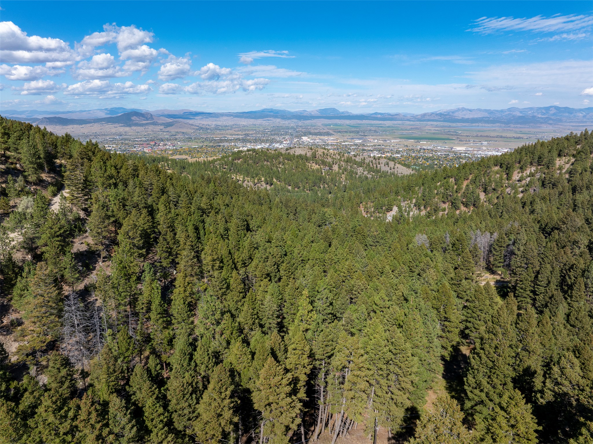 64 Arrowroot Drive Property Photo 13