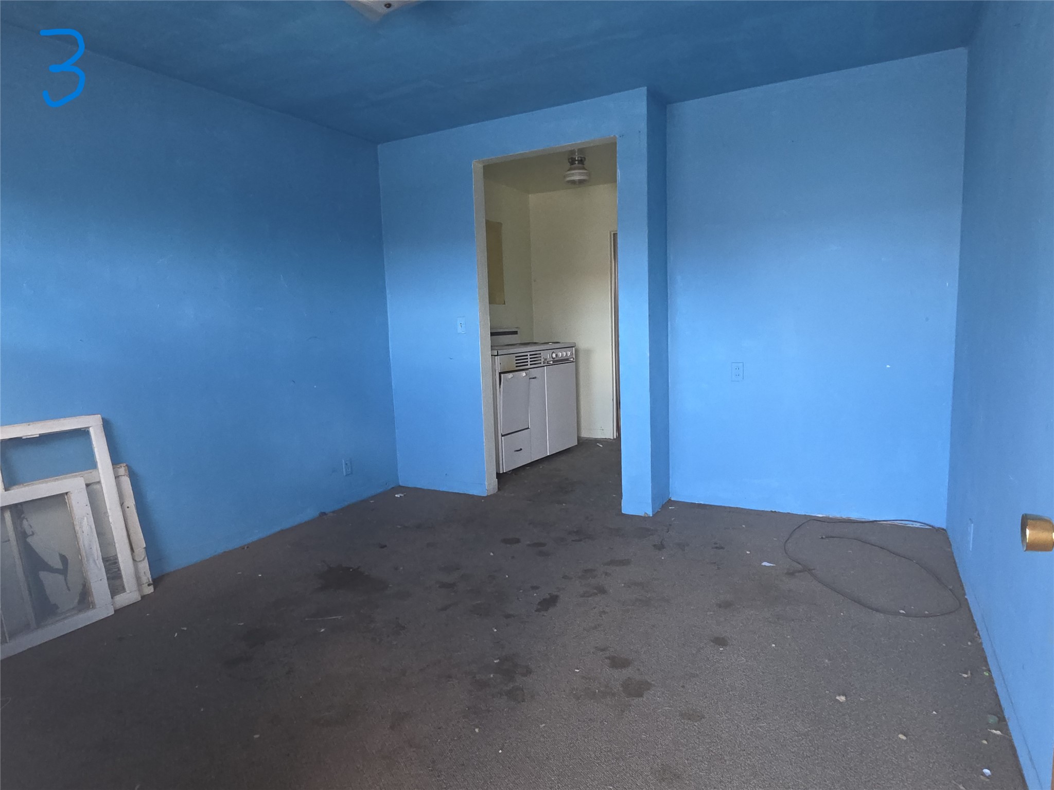 308 St. Mary's Avenue Property Photo 9