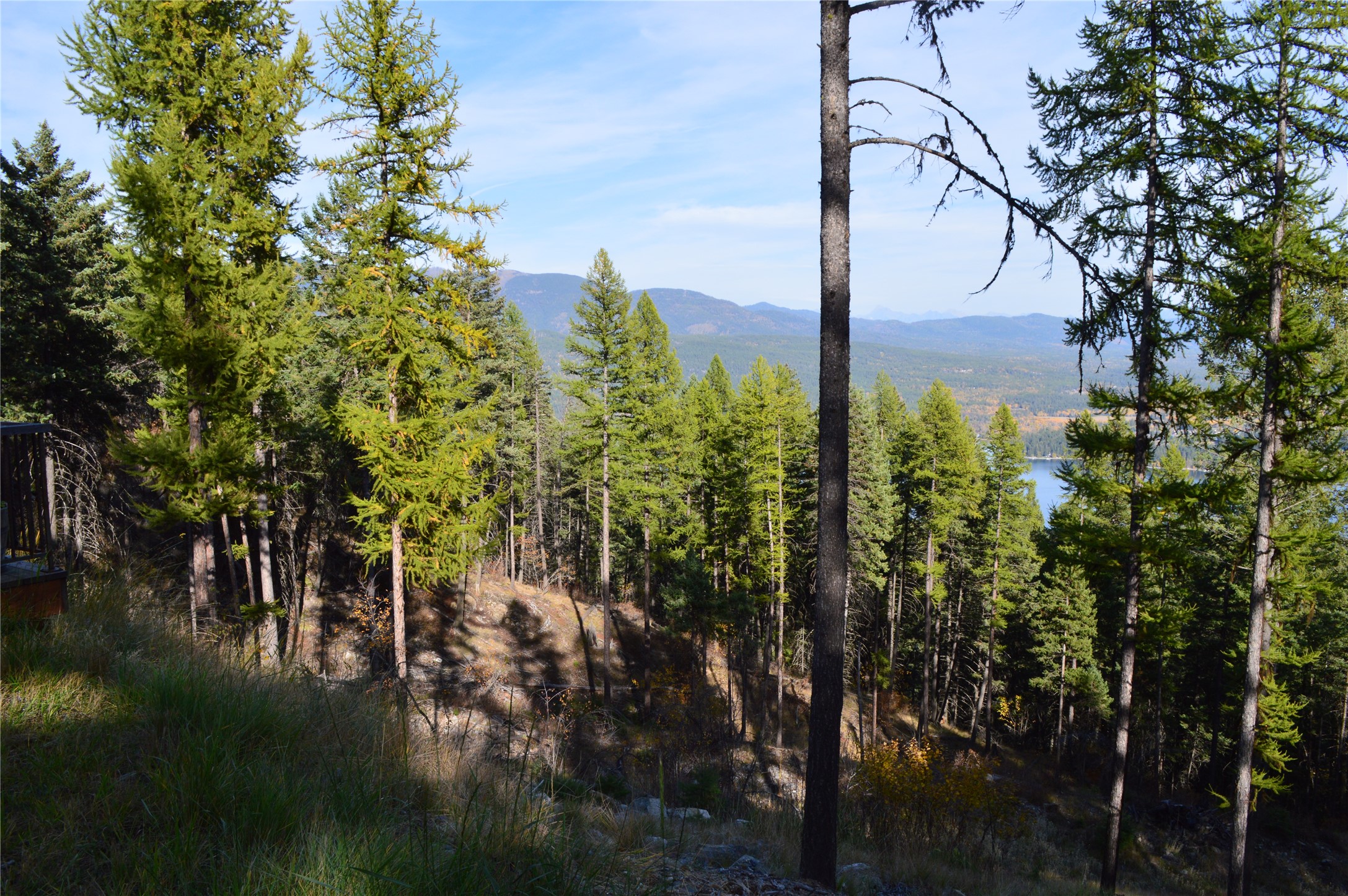 2424 Wolf Tail Pines Property Photo 62