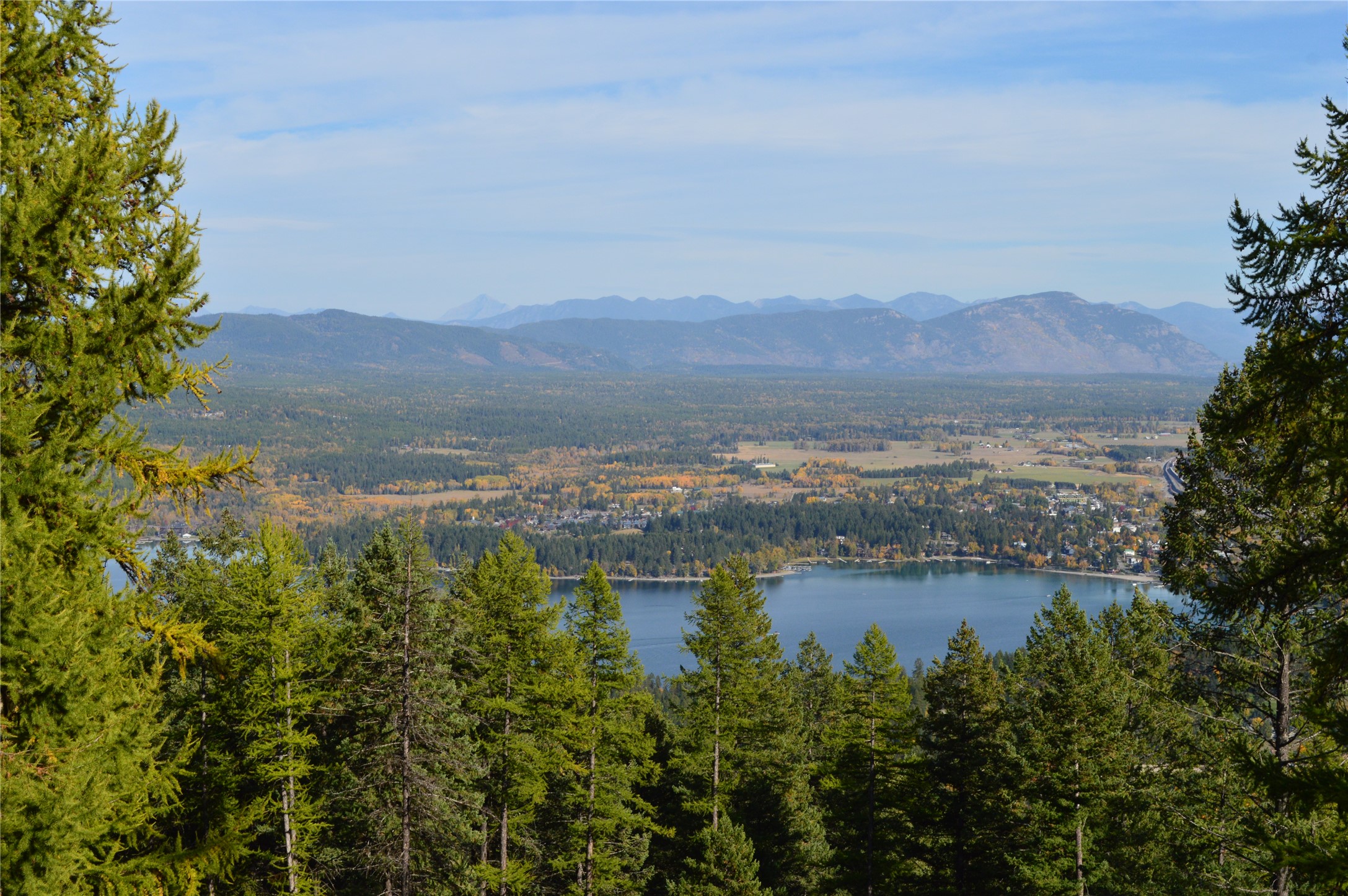 2424 Wolf Tail Pines Property Photo 65