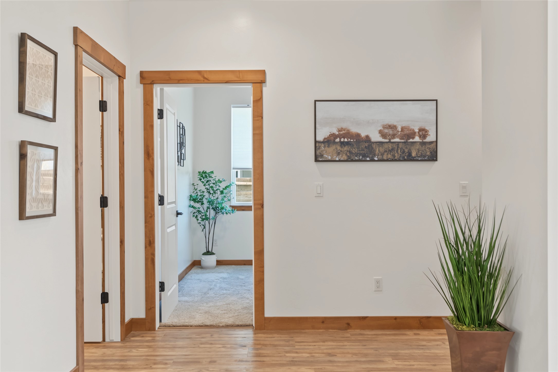 710 August Way Property Photo 17