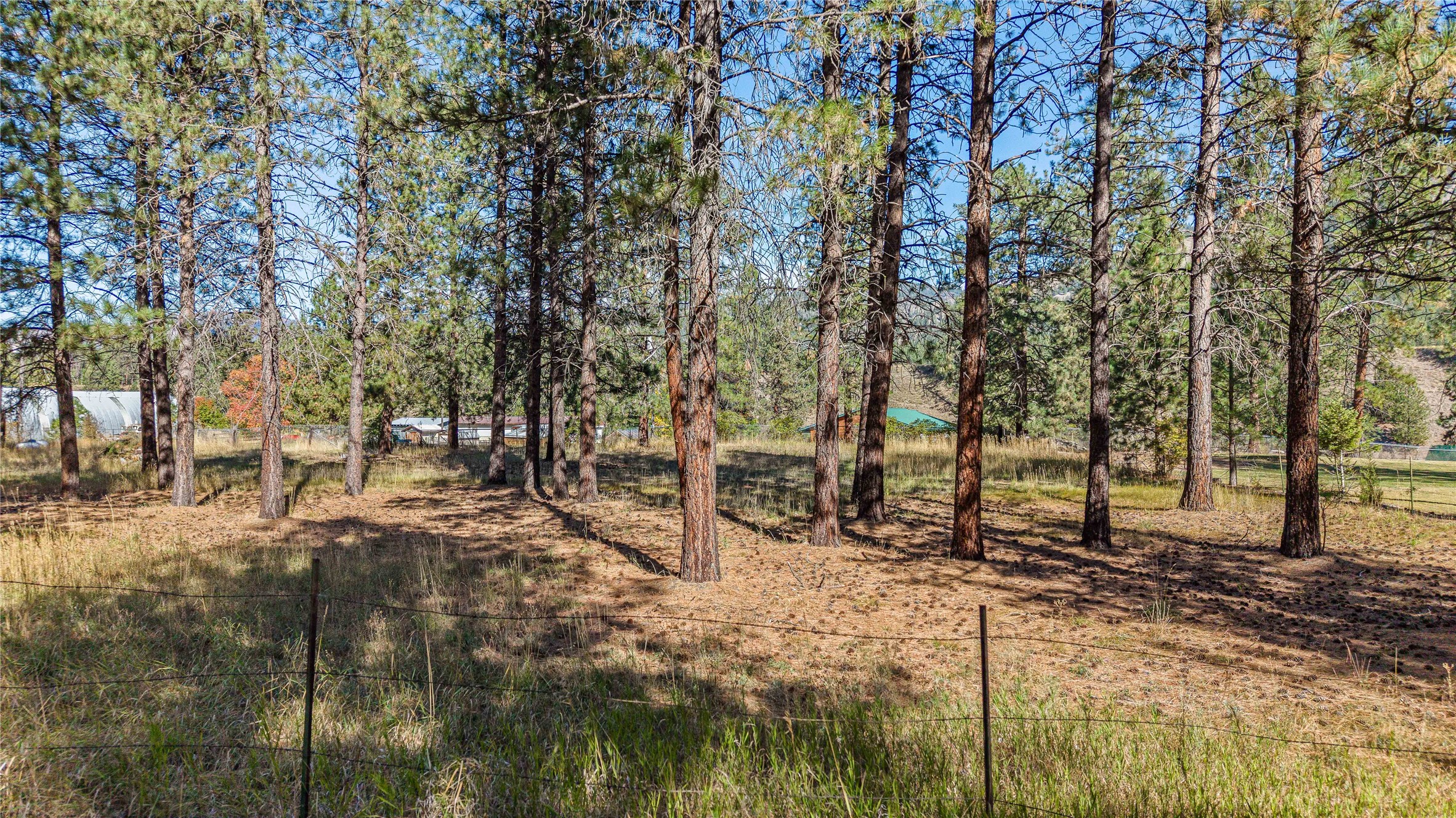 39 Mountain Morning Drive Property Photo 2