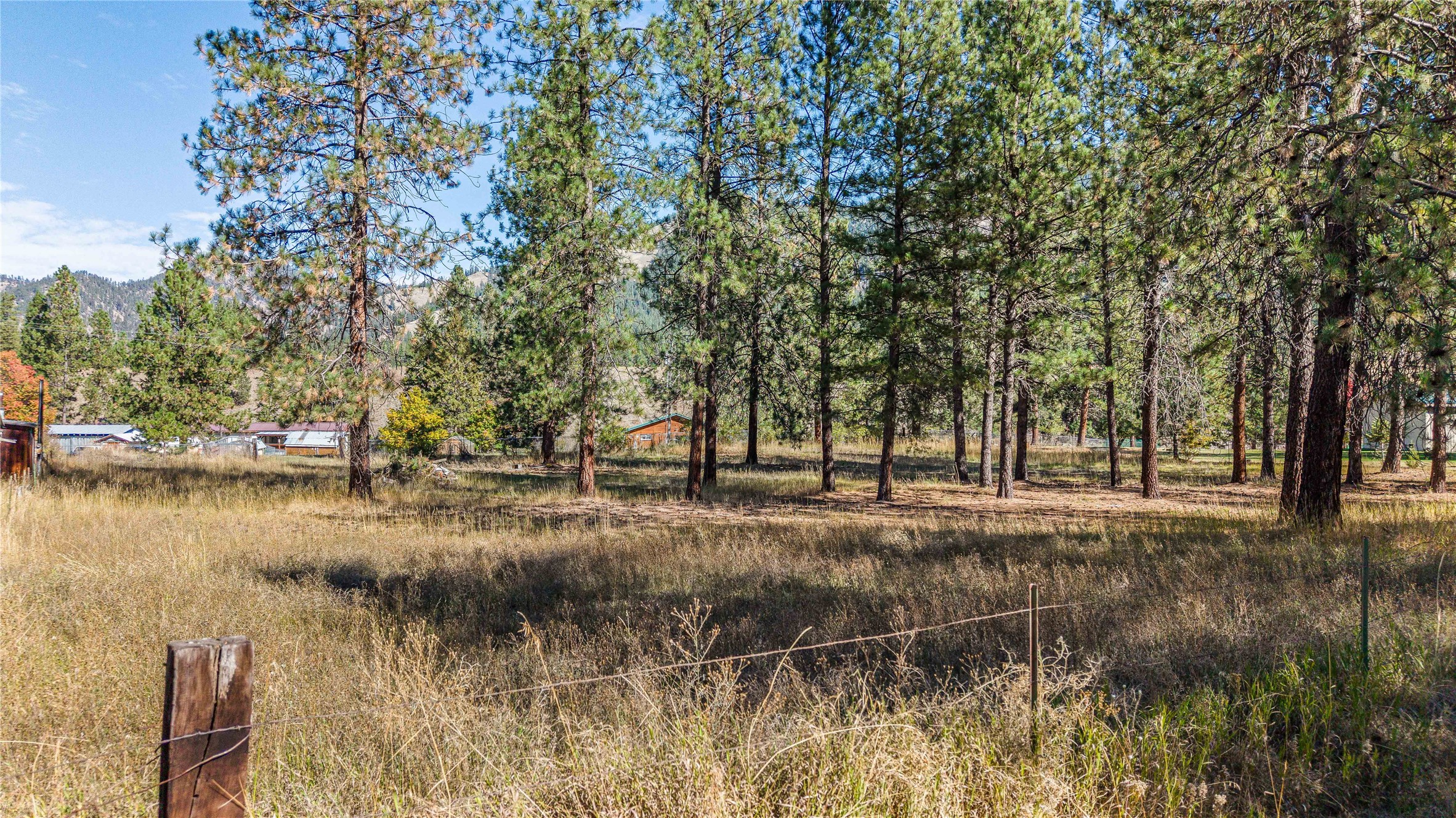 39 Mountain Morning Drive Property Photo 3
