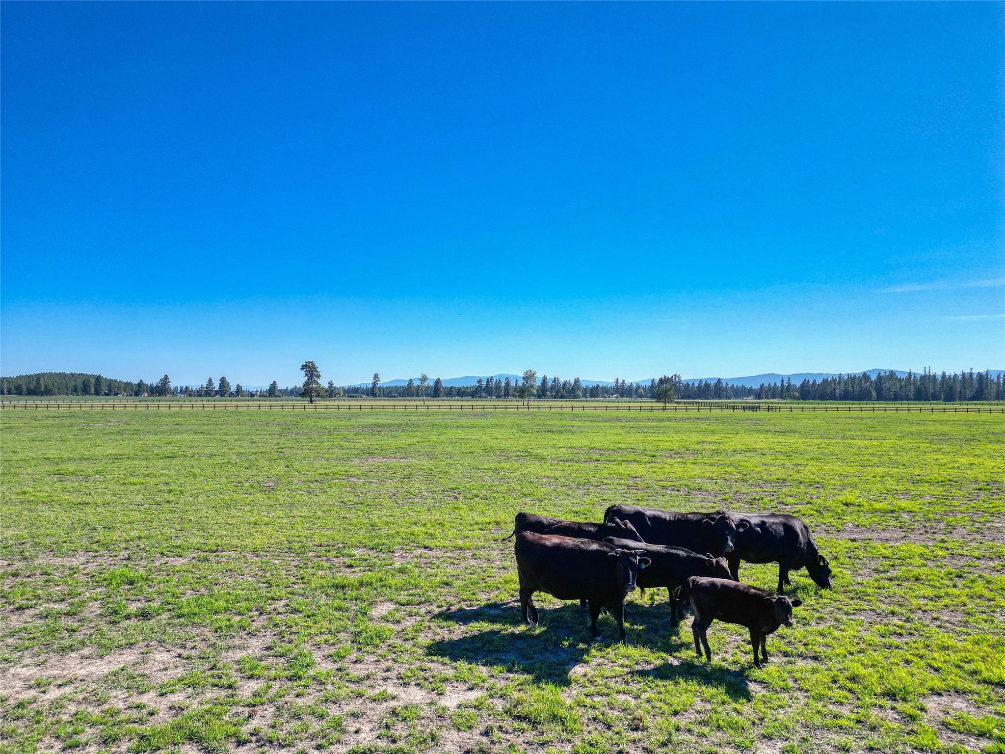 1212 Spring Prairie Ranch Road Property Photo 127