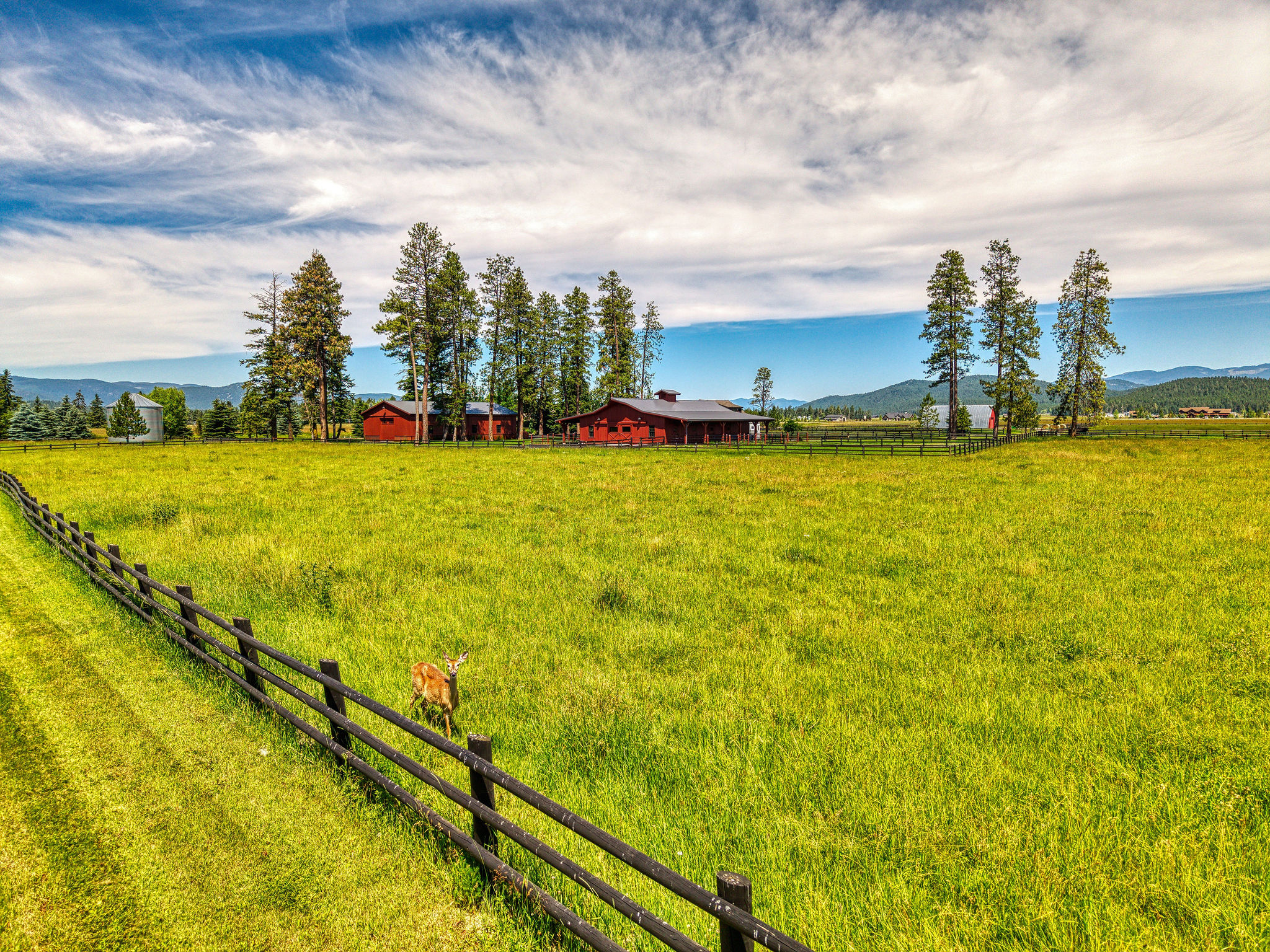 1212 Spring Prairie Ranch Road Property Photo 167