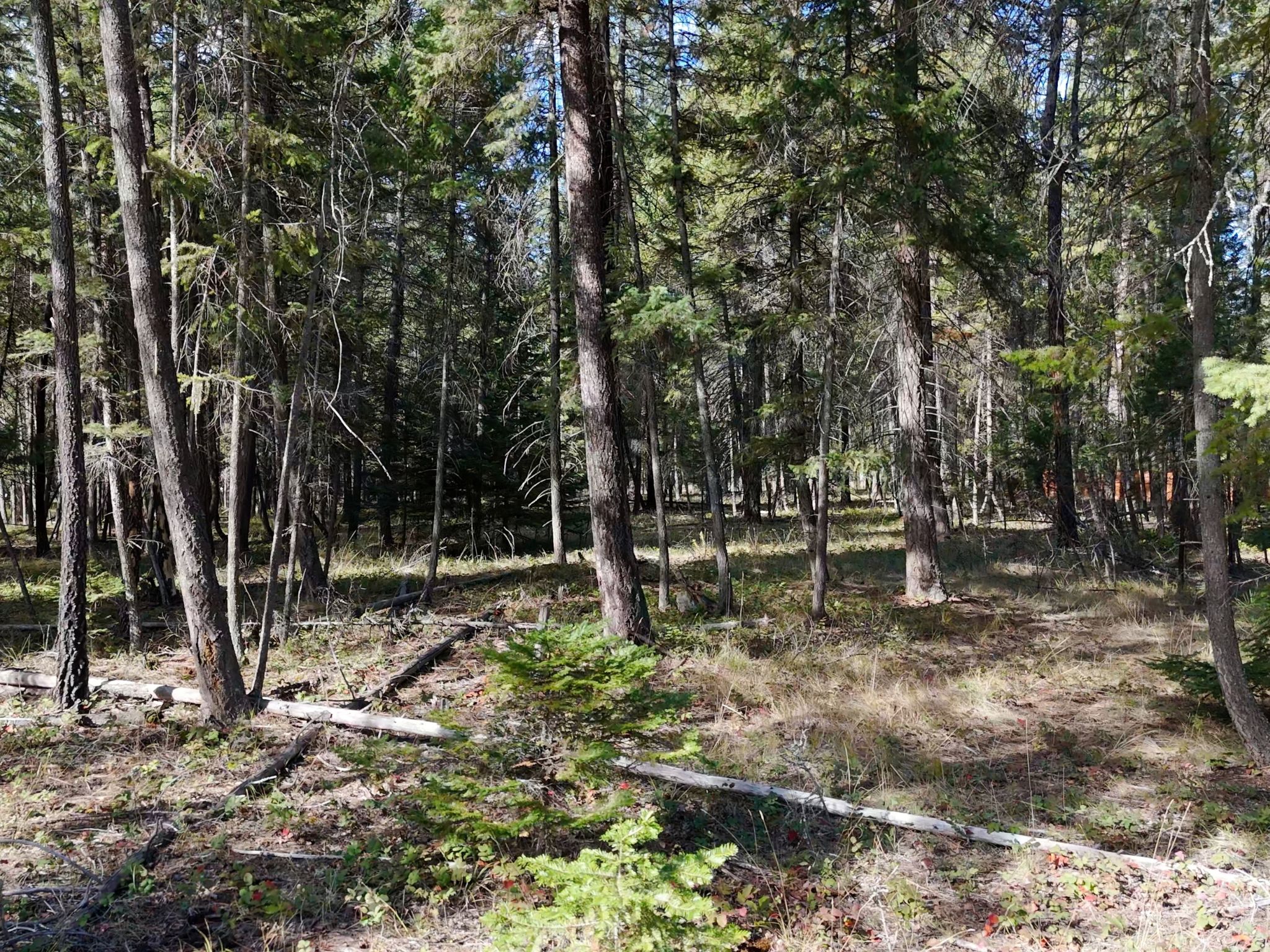 8 Goshawk Lane Property Photo 5