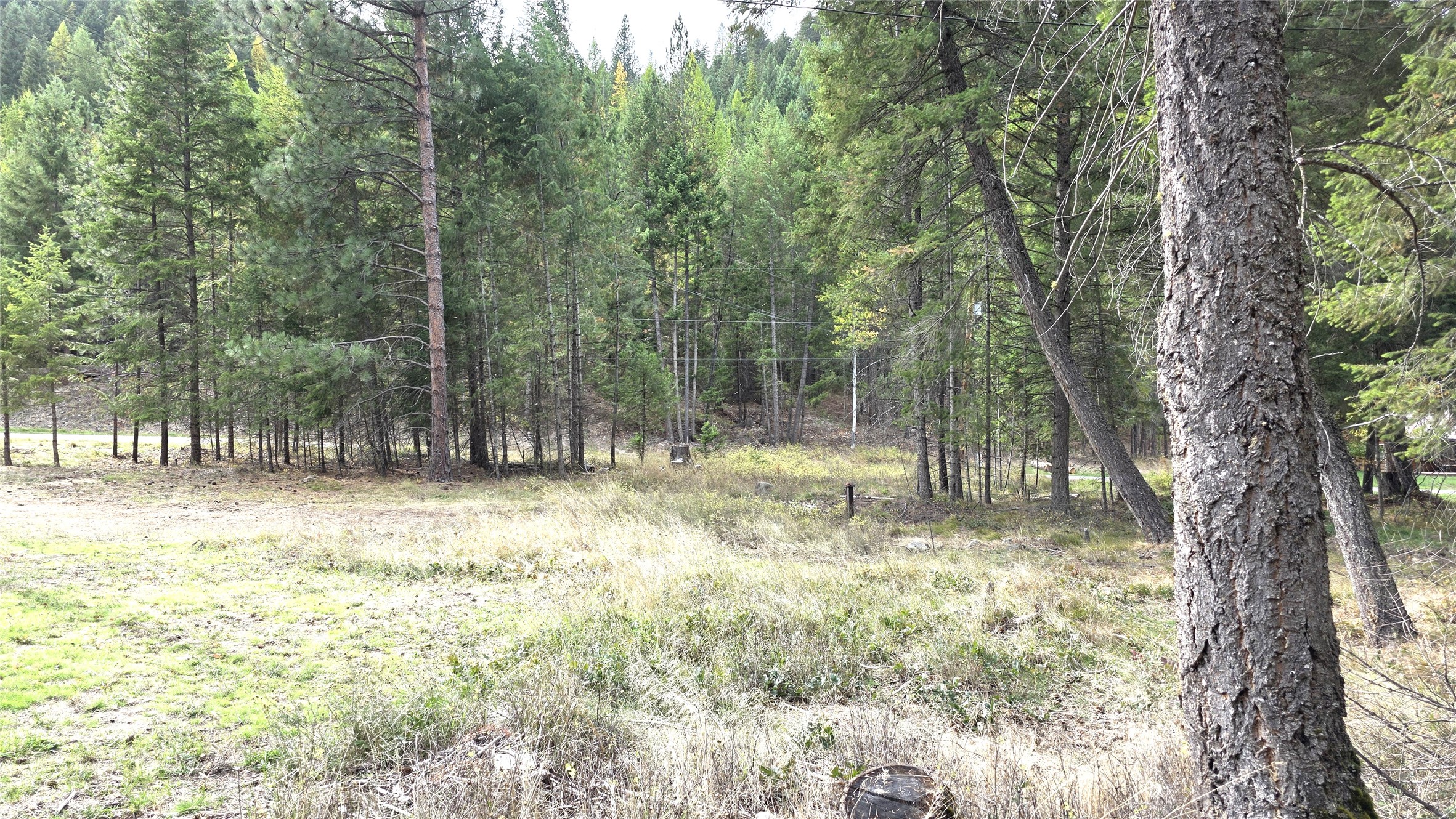 610 Conifer Road Property Photo 43