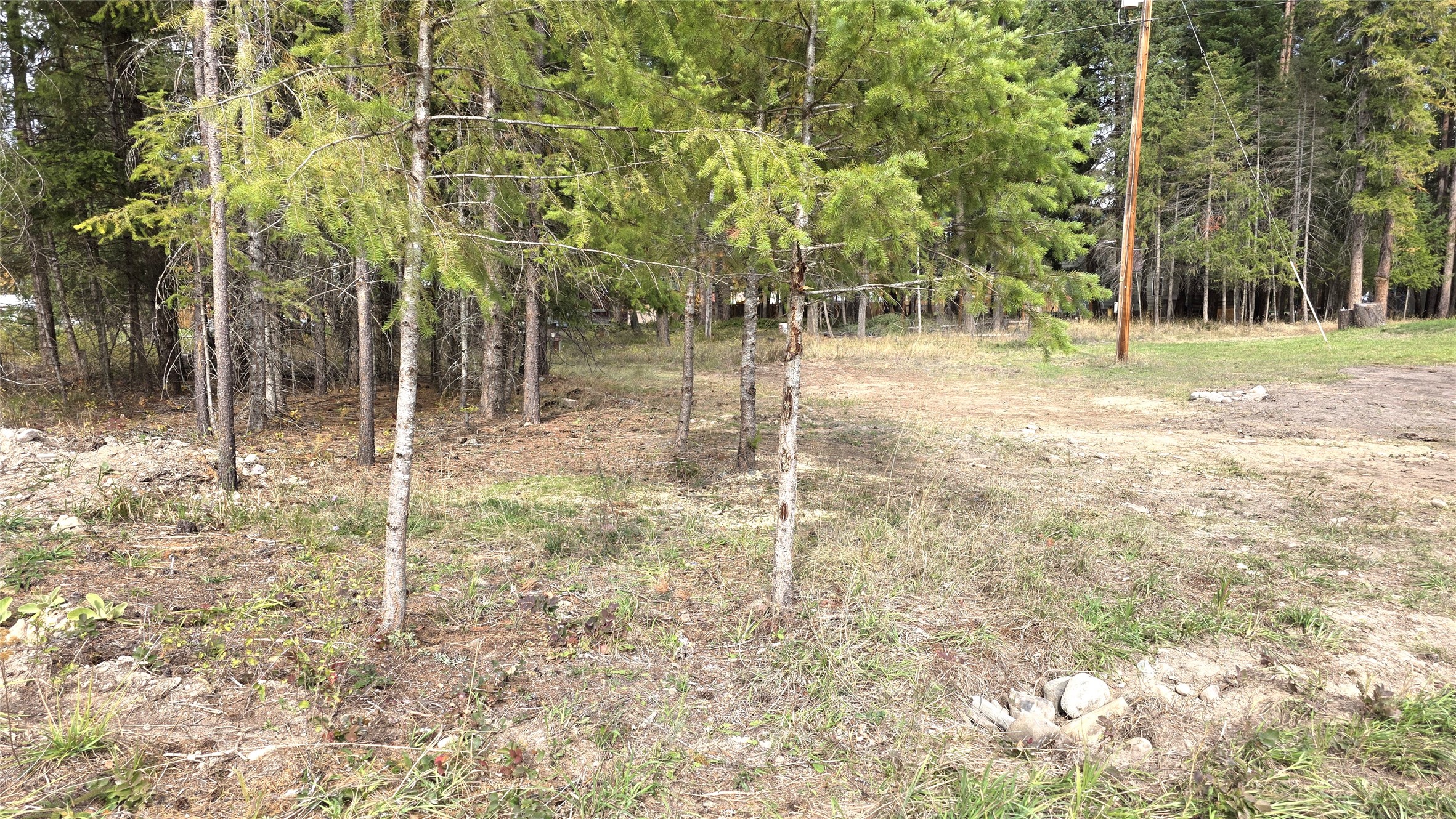 610 Conifer Road Property Photo 44