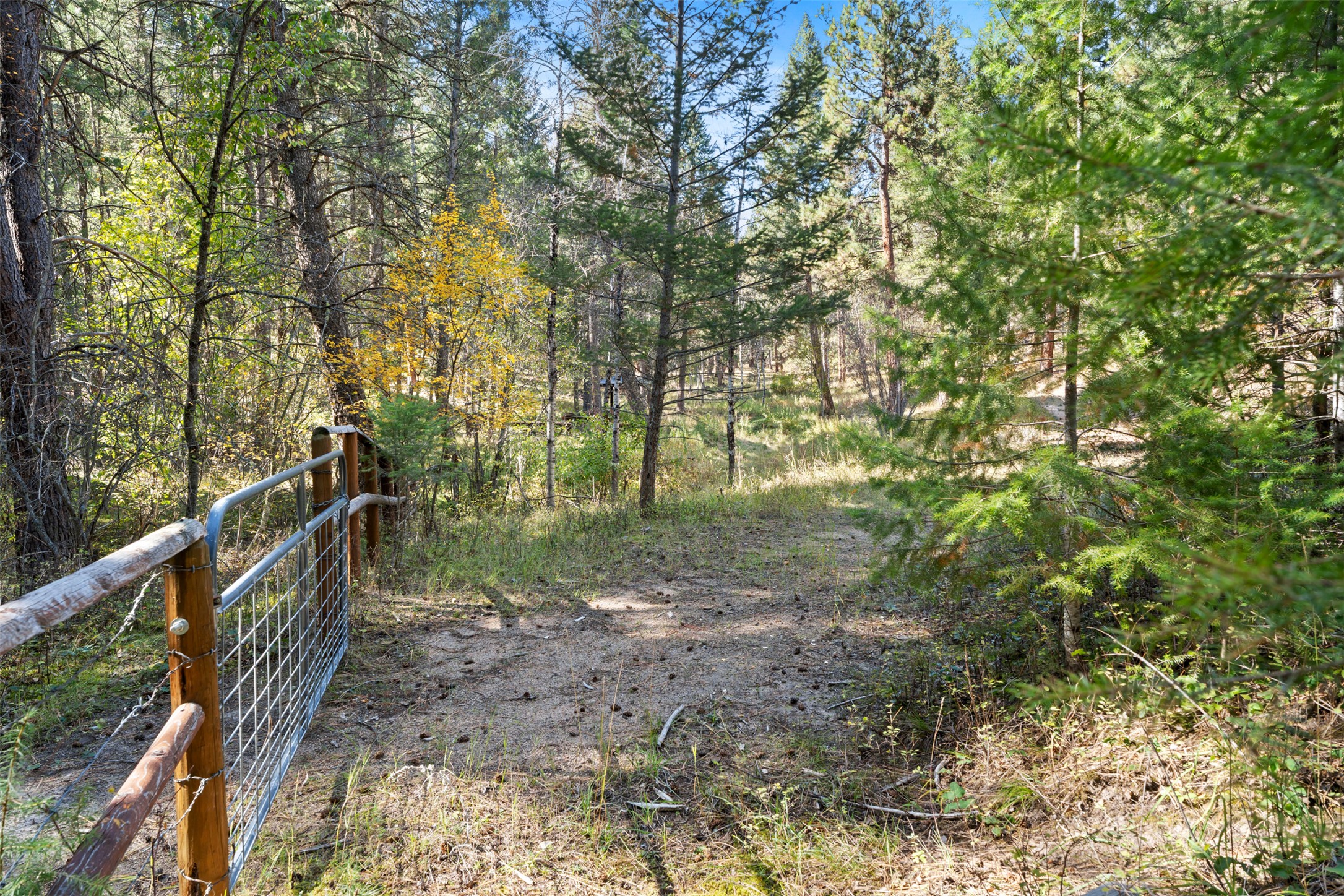 181 Hart Bench Road Property Photo 94