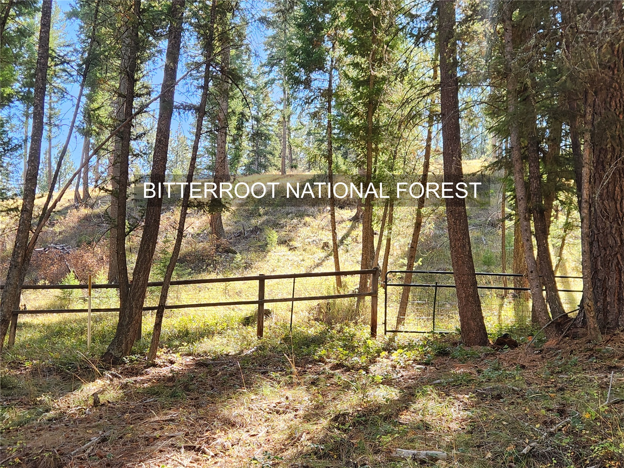 181 Hart Bench Road Property Photo 98