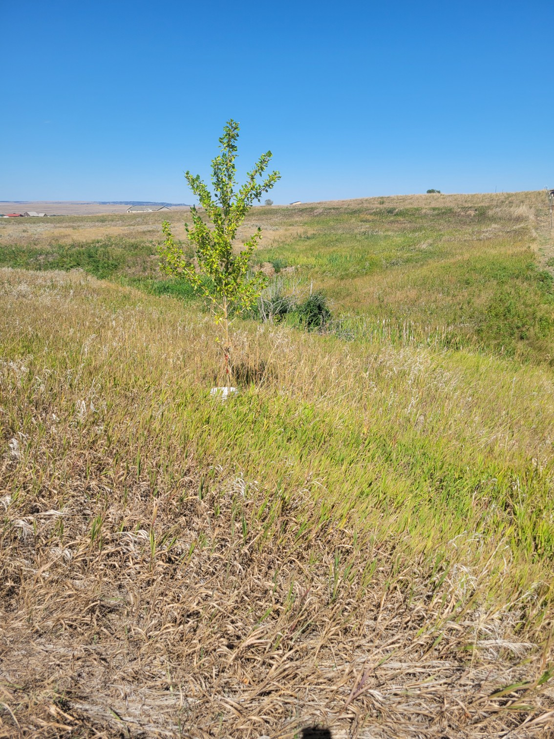 148 Internet Access Property Photo 1