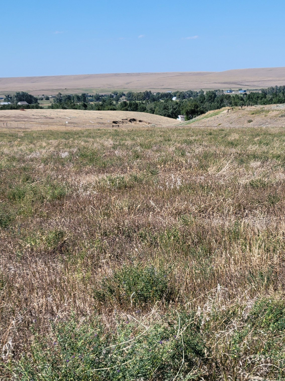 148 Internet Access Property Photo 7