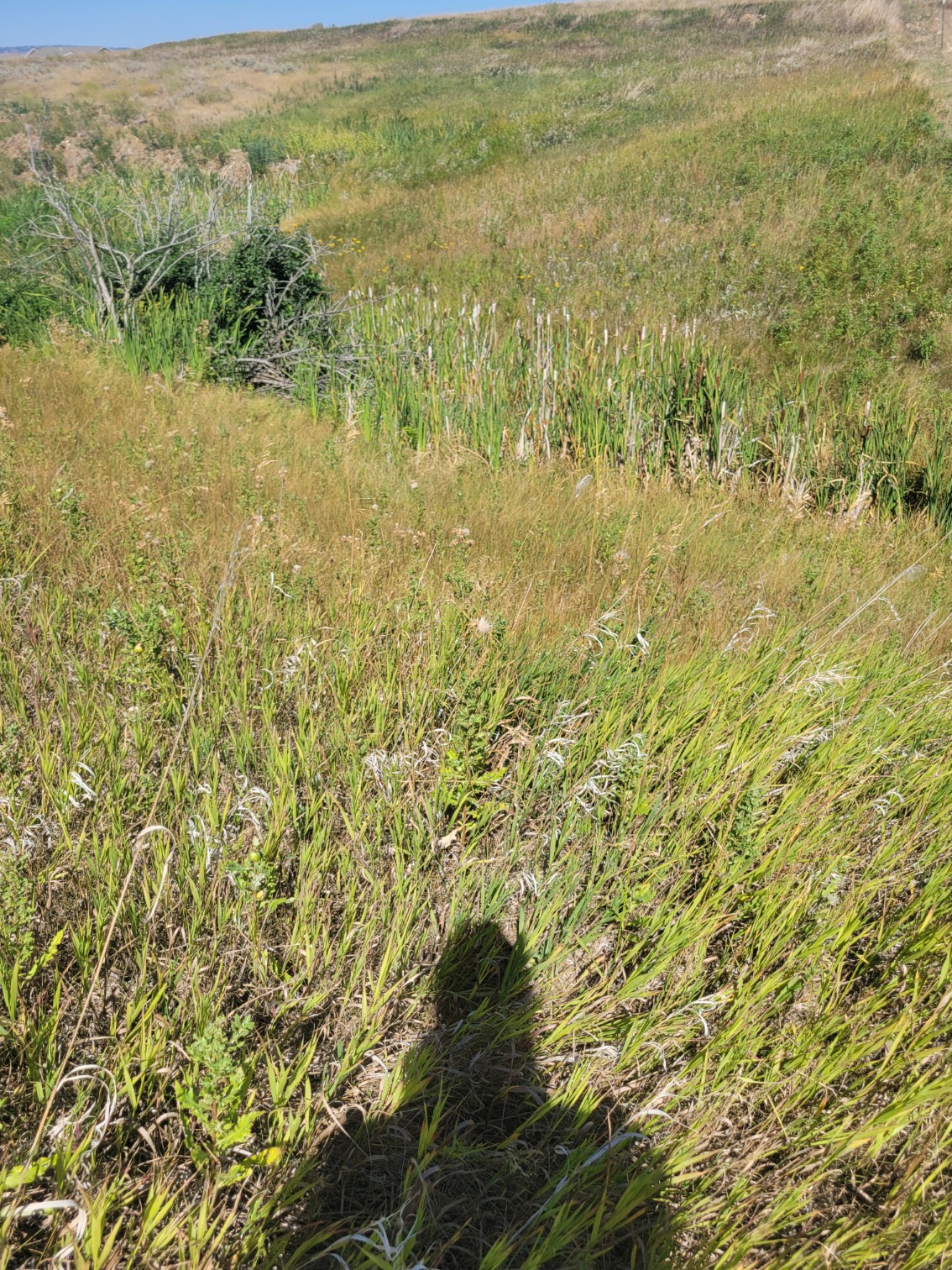 148 Internet Access Property Photo 10