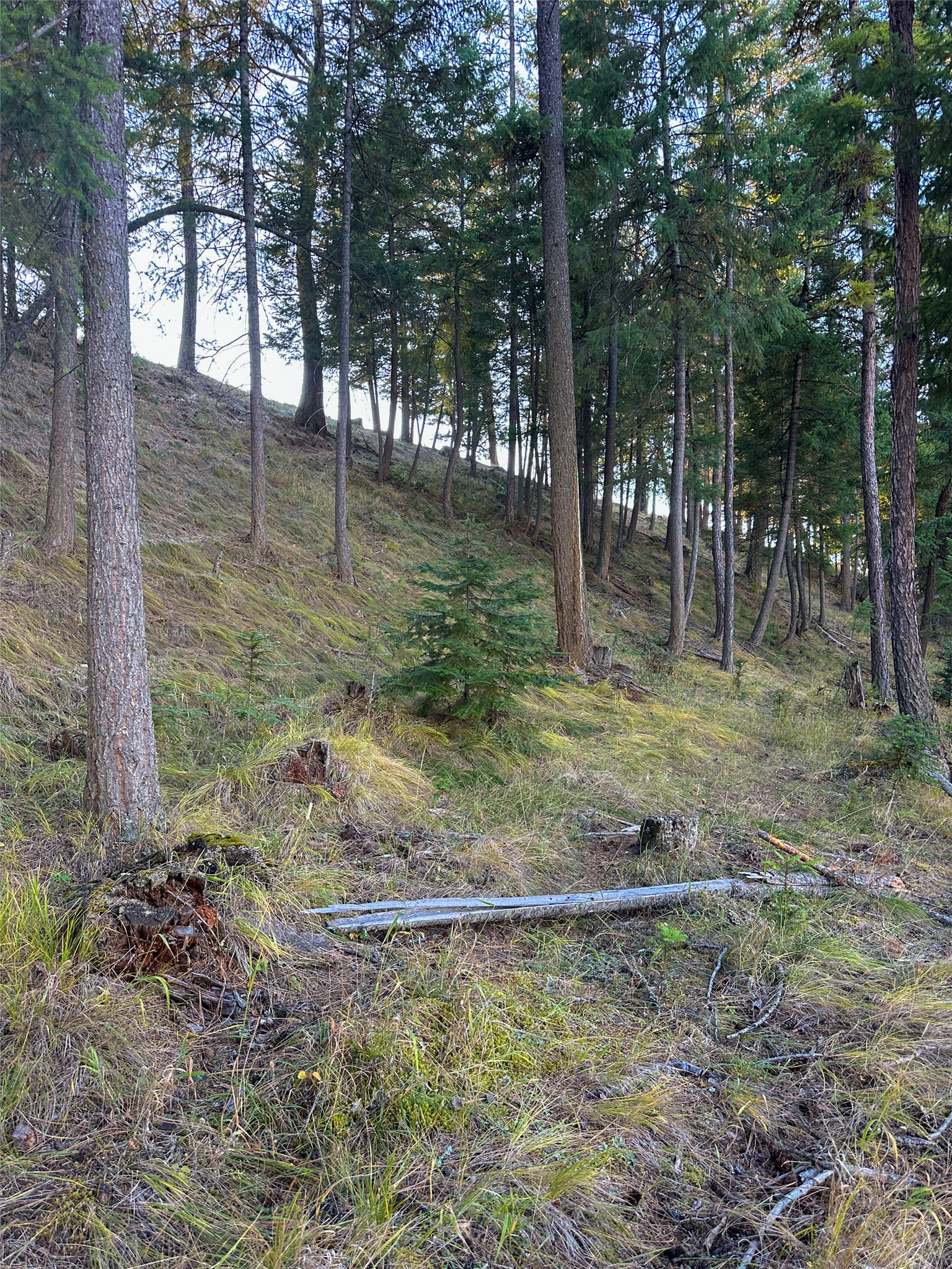 Nhn Old Barn Lane Property Photo 14