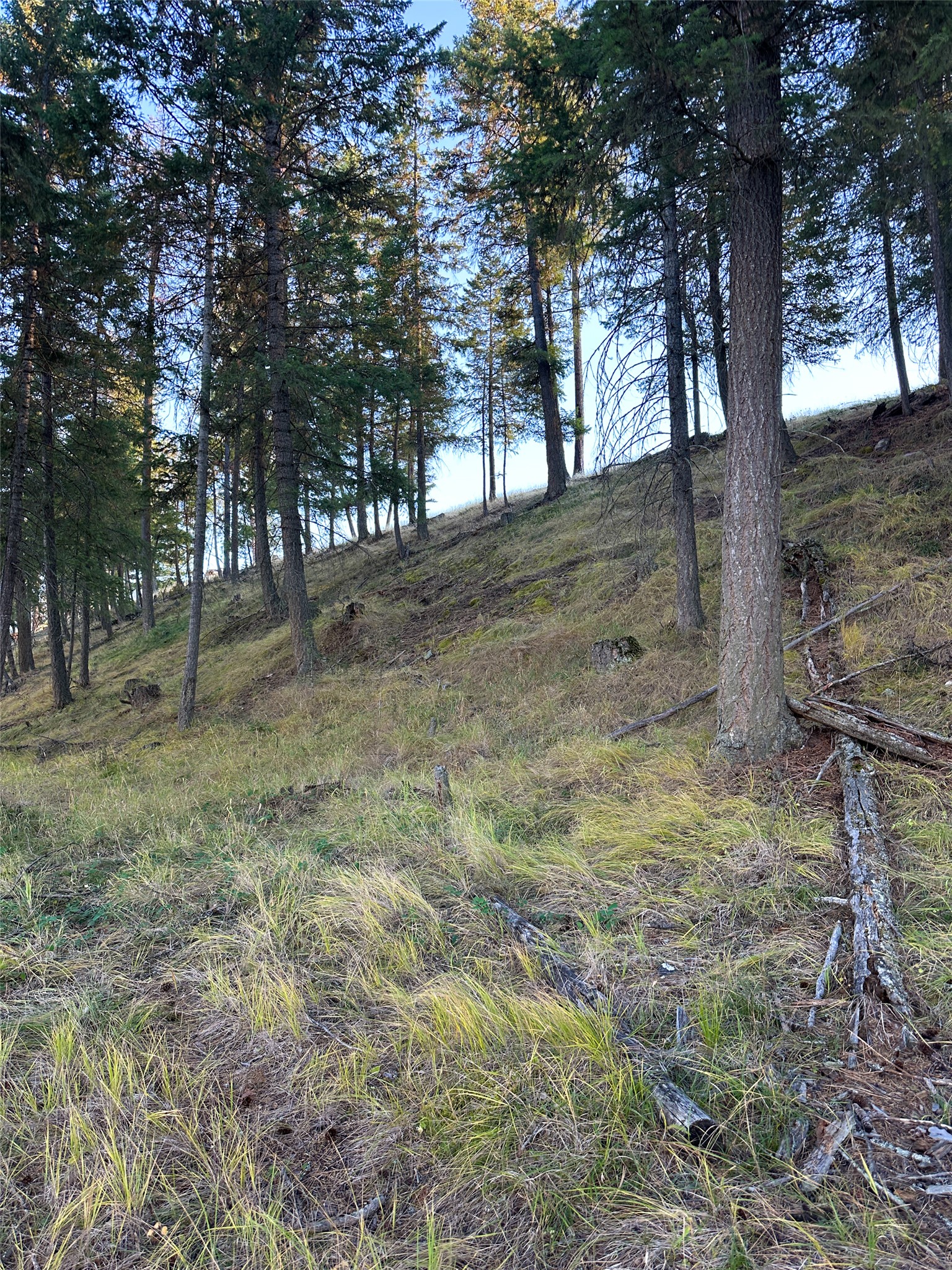 Nhn Old Barn Lane Property Photo 15