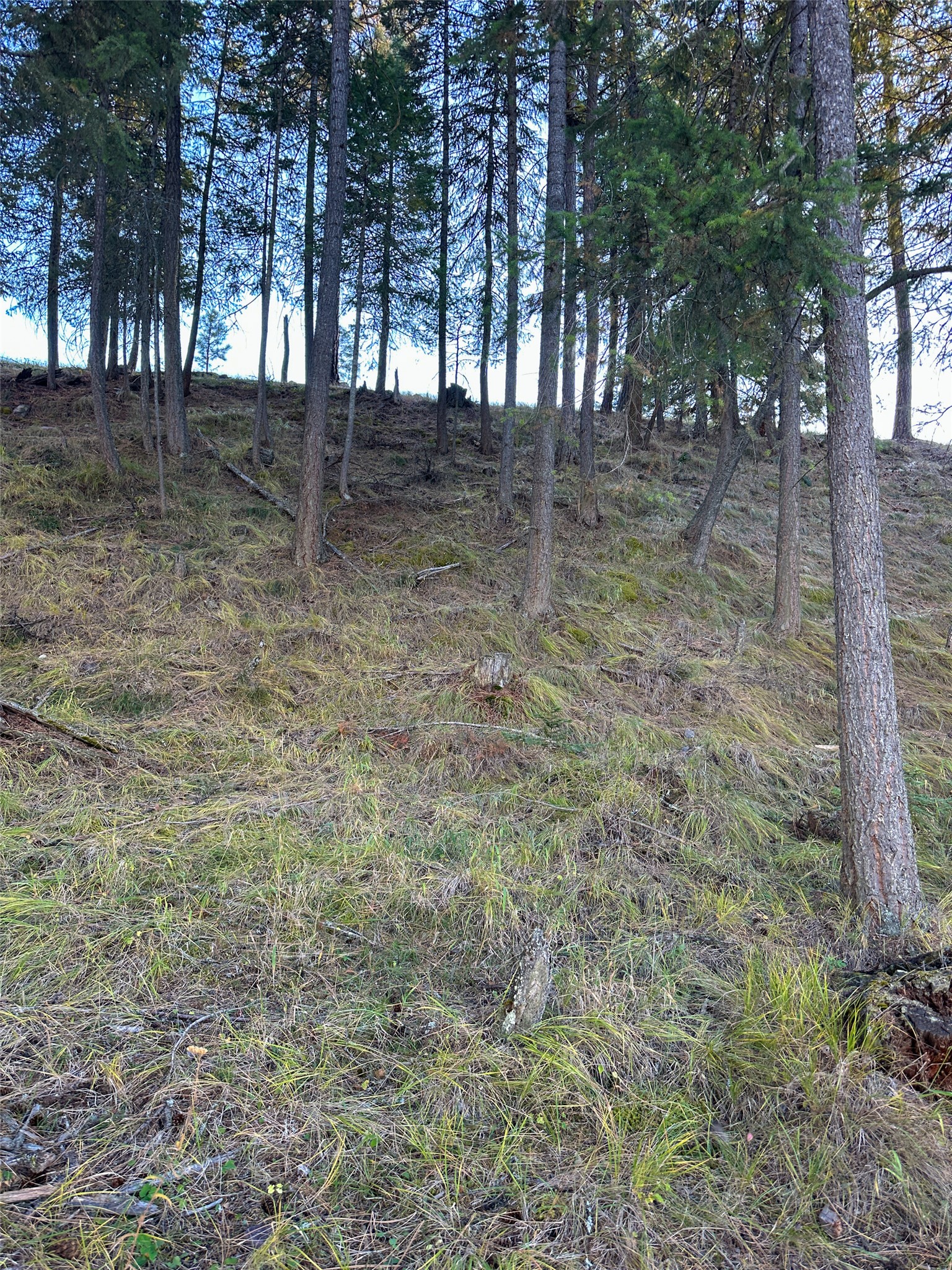 Nhn Old Barn Lane Property Photo 16