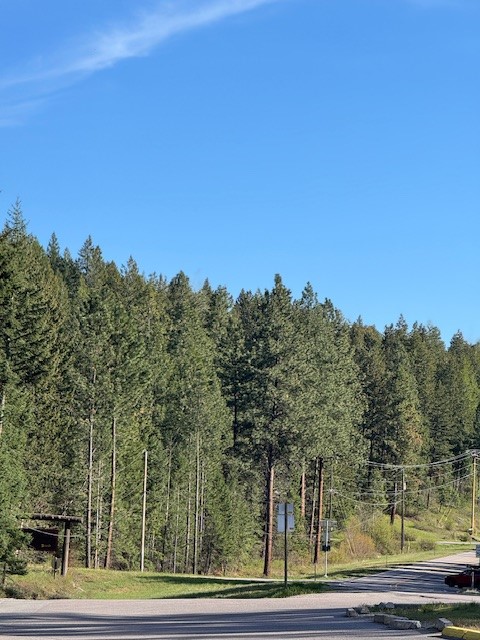 8575 Mt Hwy 35 7 Property Photo 3
