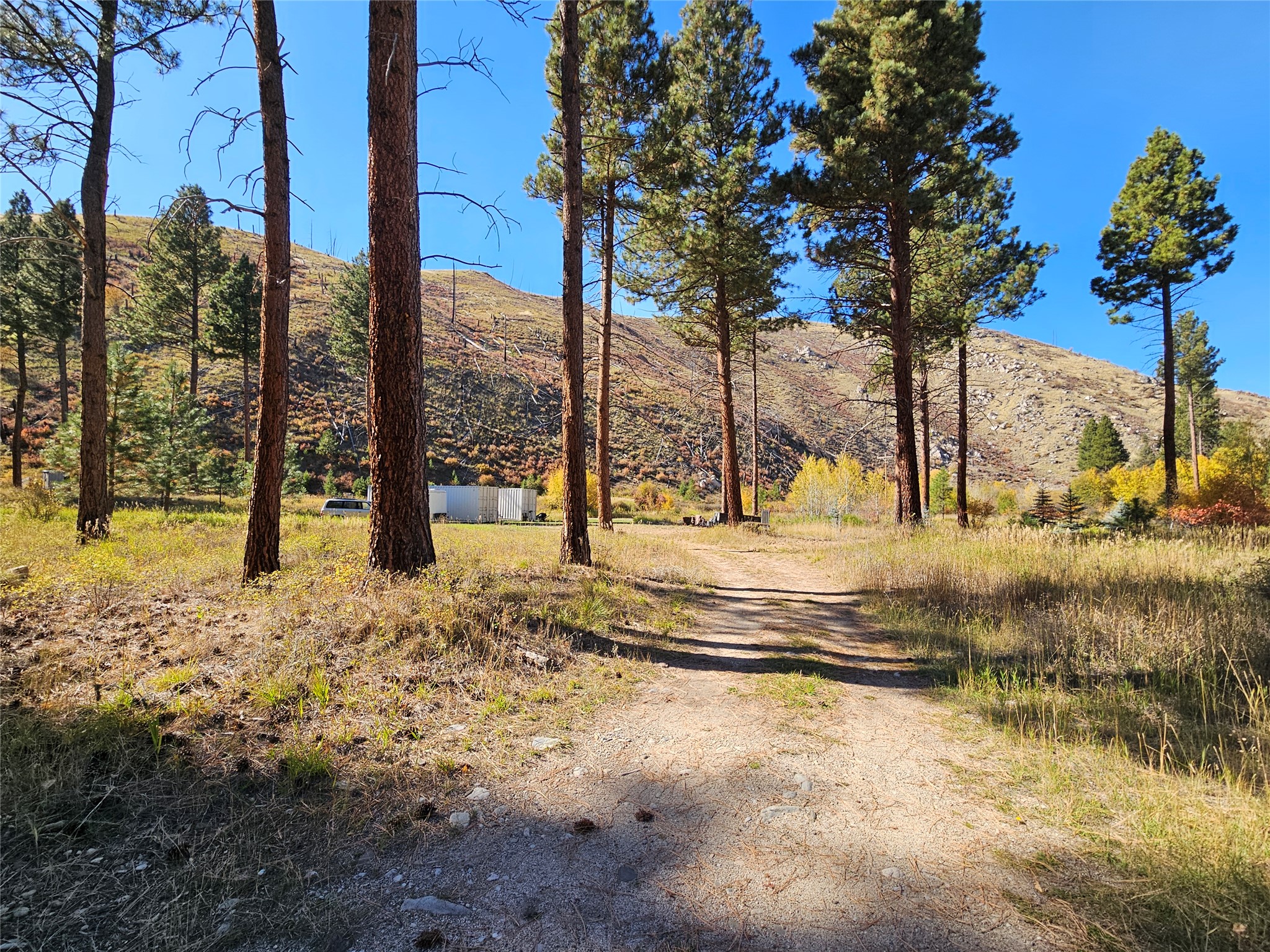 128 Beam Creek Trail Property Photo 6