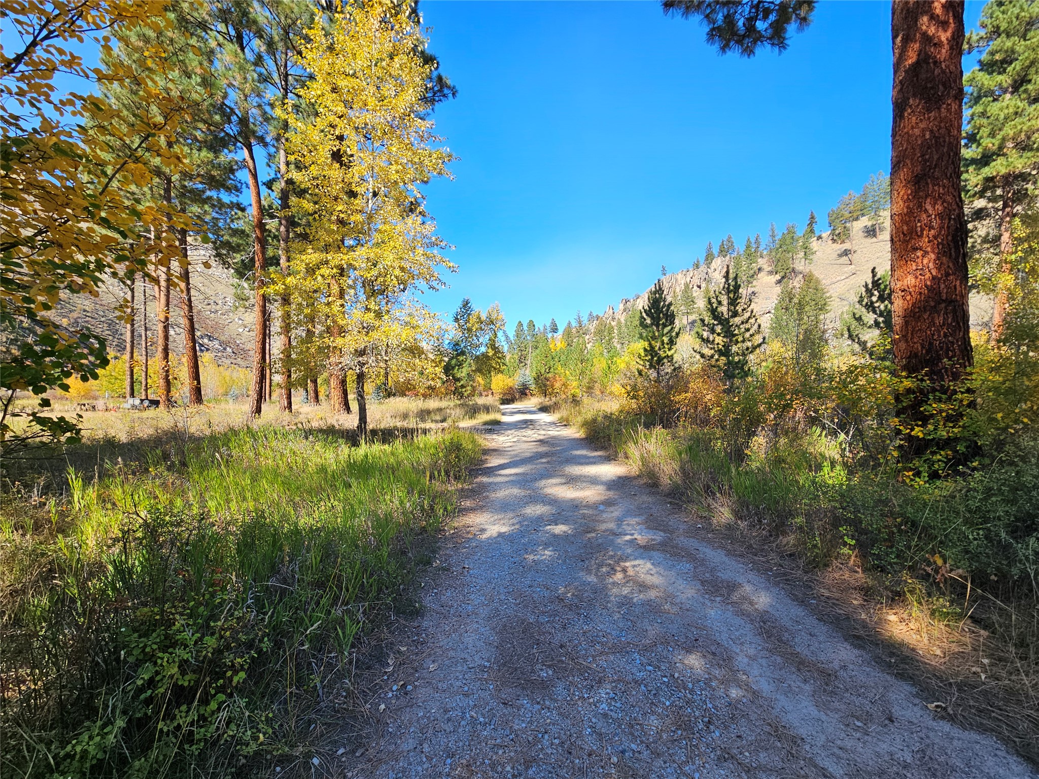 128 Beam Creek Trail Property Photo 15