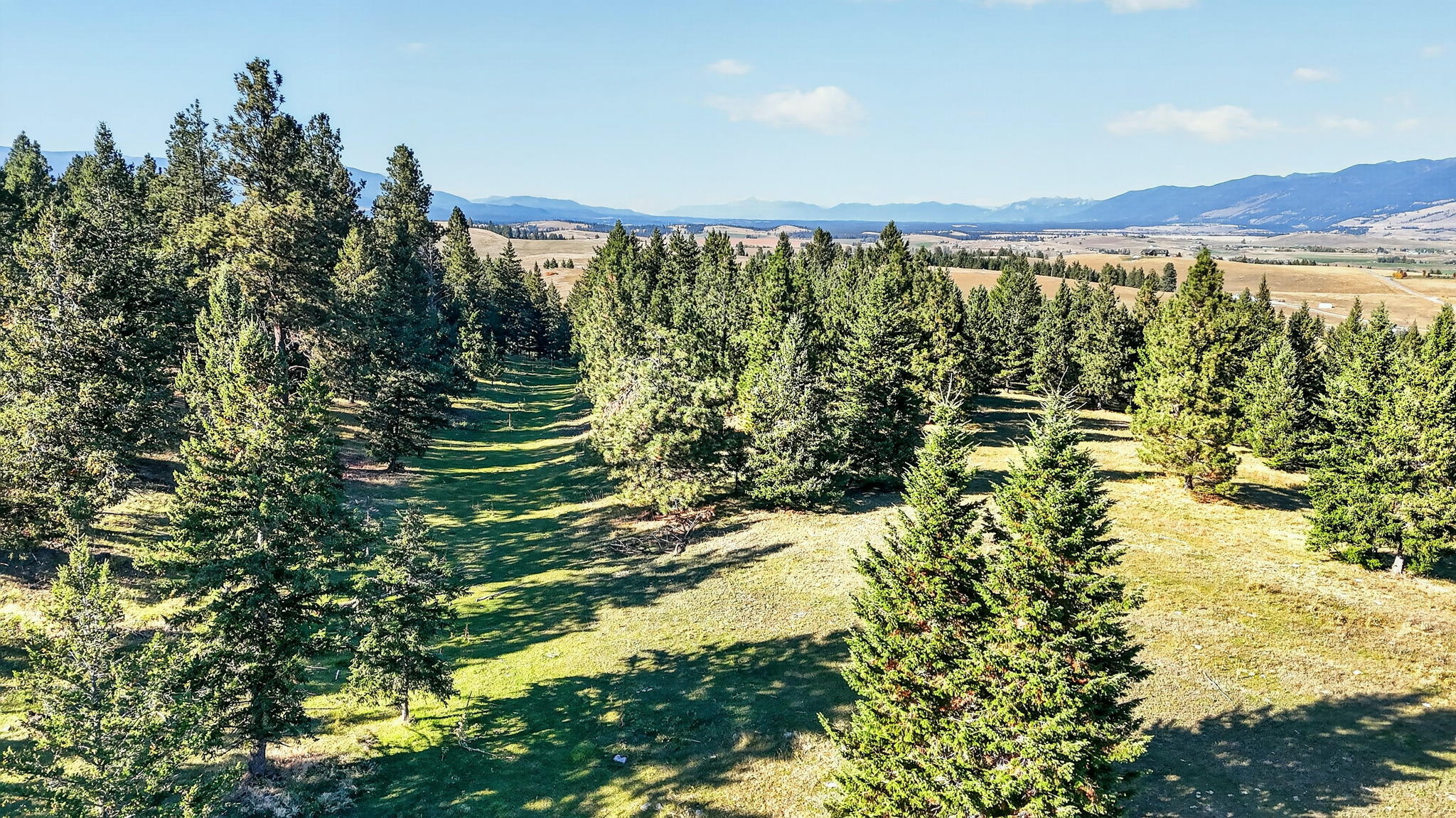 Nhn Black Lake Road Property Photo 1