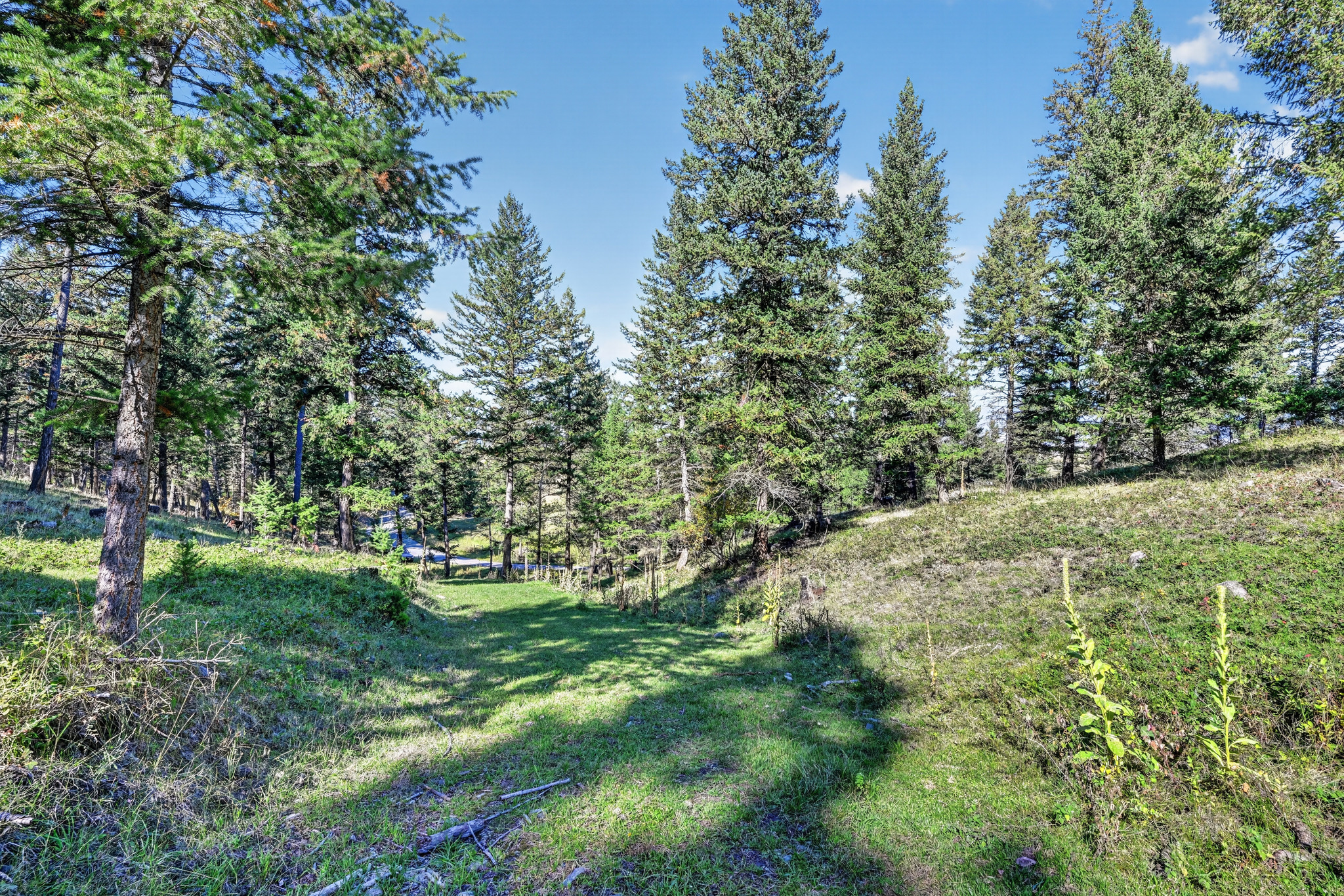 Nhn Black Lake Road Property Photo 2