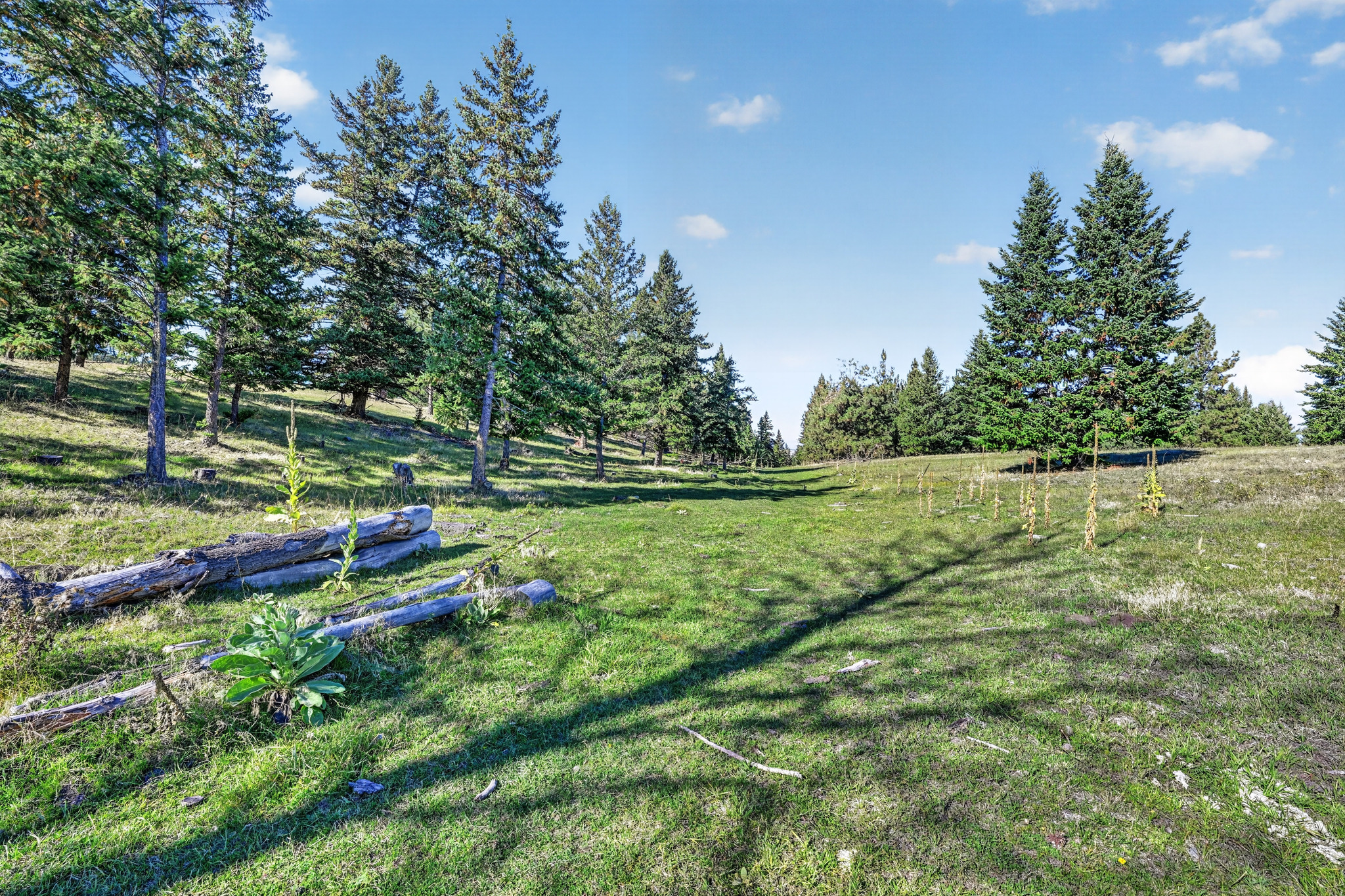 Nhn Black Lake Road Property Photo 6