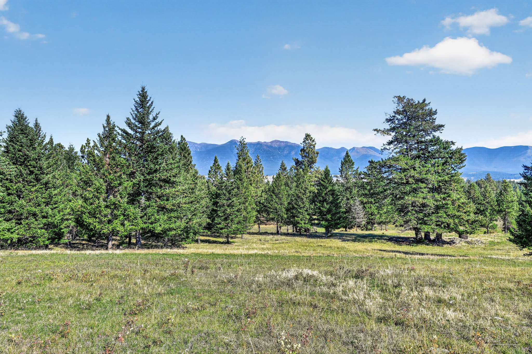 Nhn Black Lake Road Property Photo 8