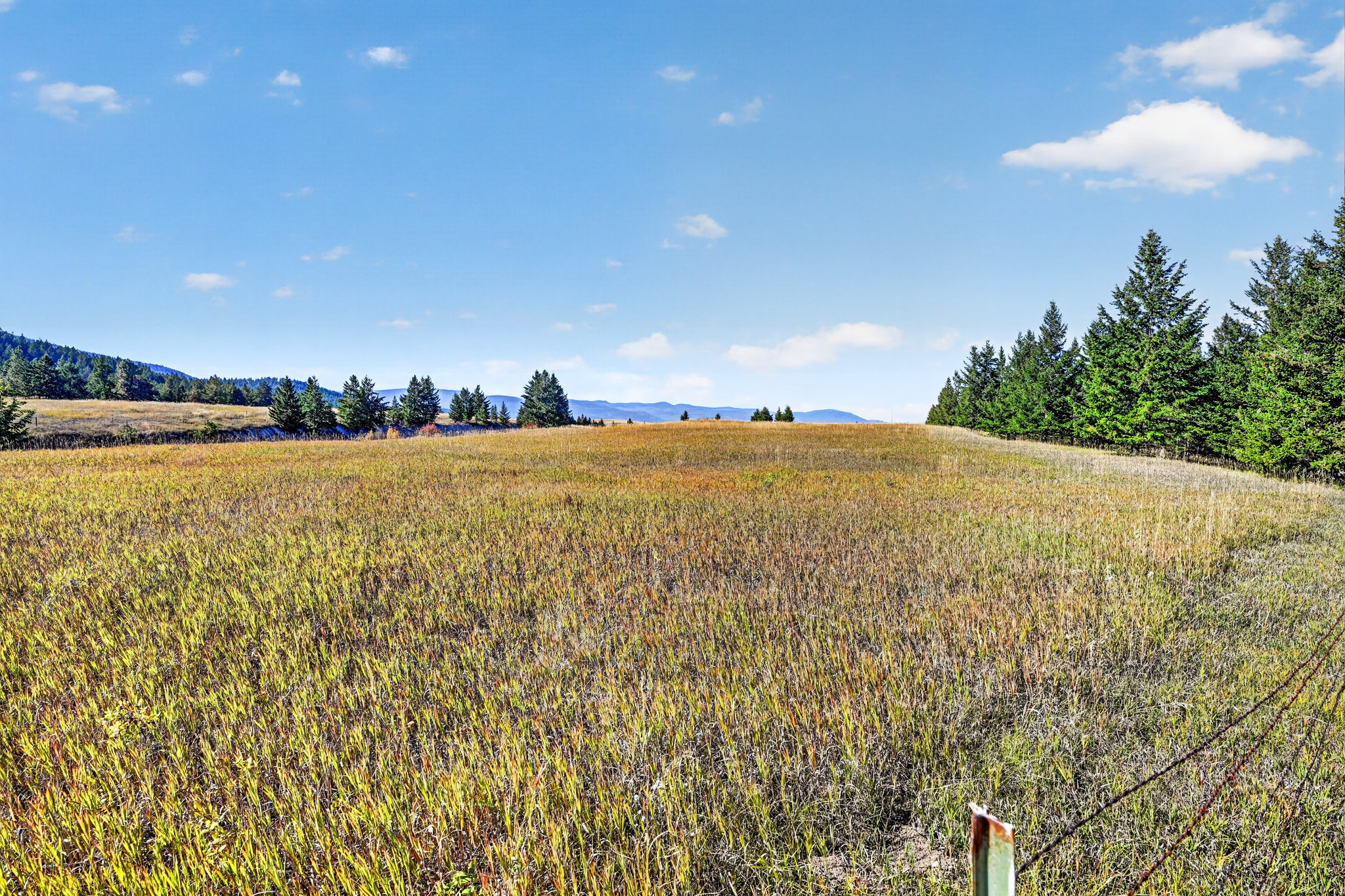 Nhn Black Lake Road Property Photo 10