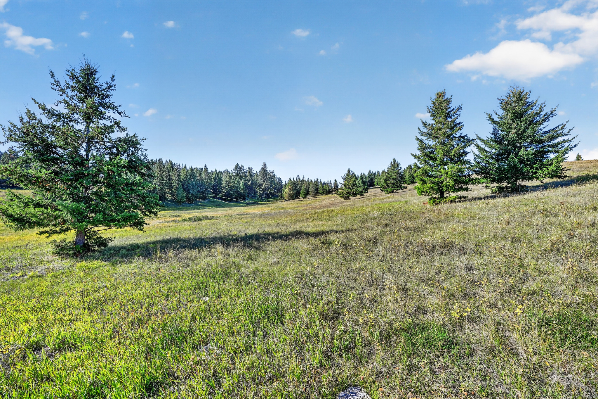 Nhn Black Lake Road Property Photo 11