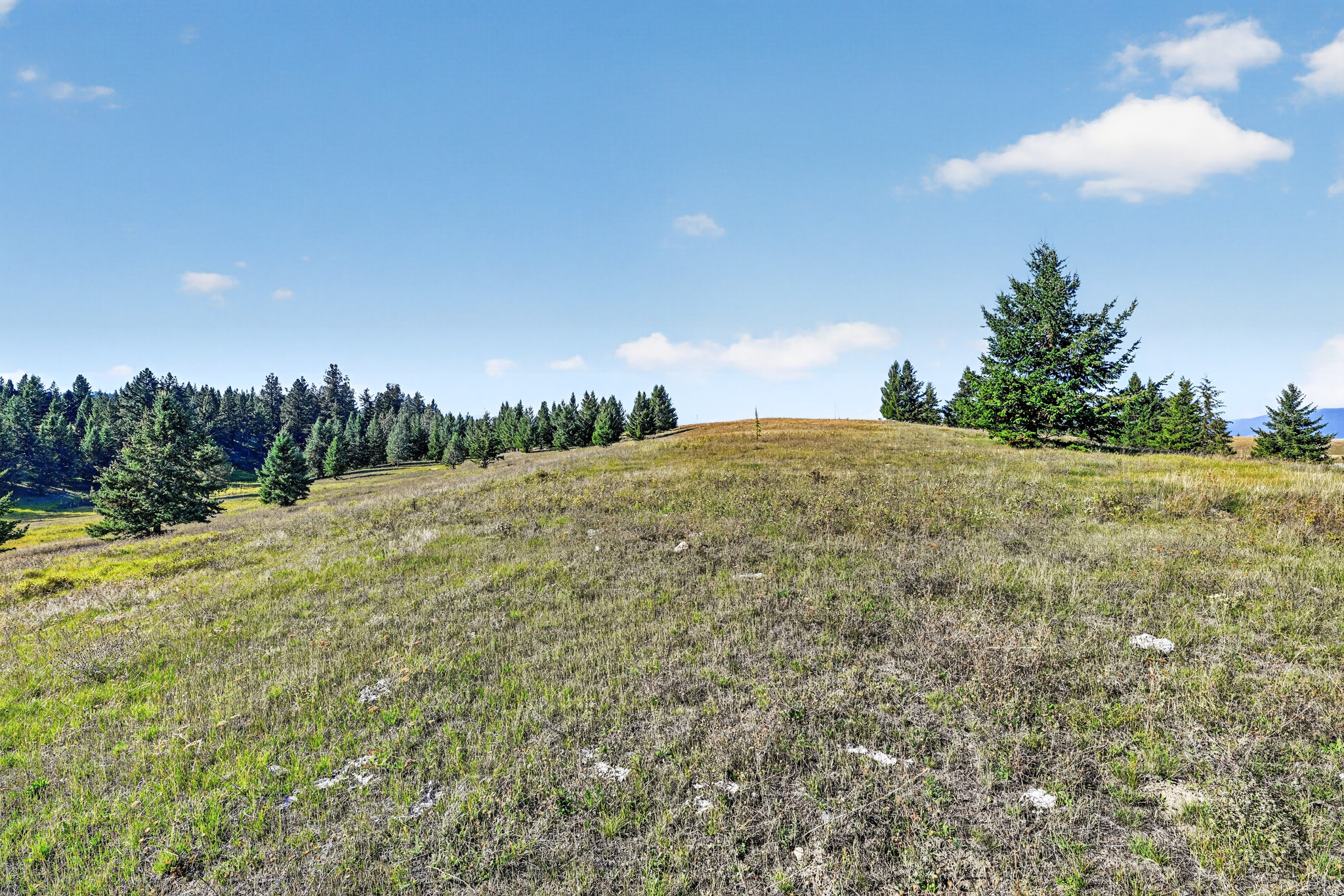 Nhn Black Lake Road Property Photo 12