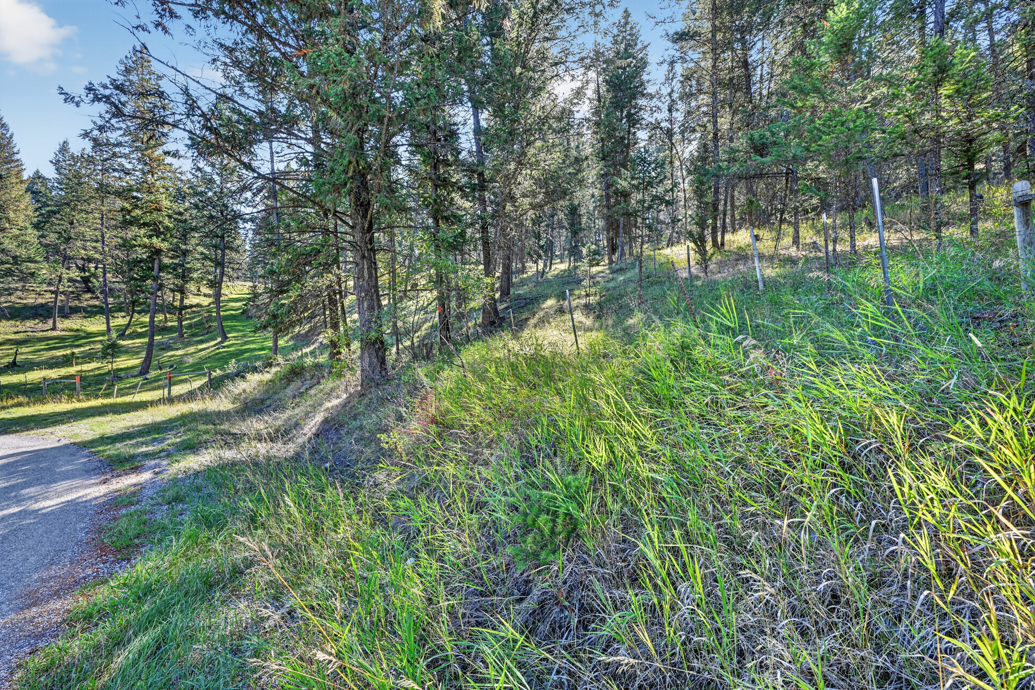 Nhn Black Lake Road Property Photo 13