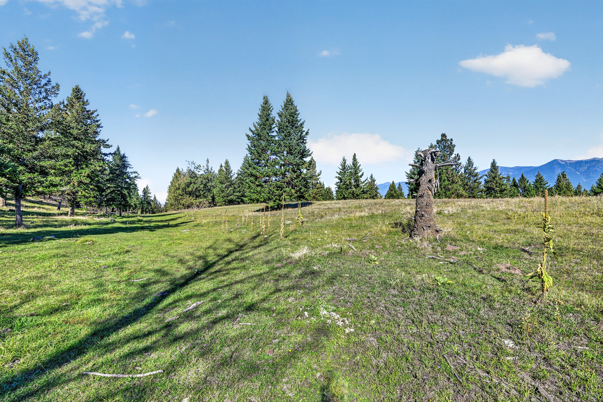 Nhn Black Lake Road Property Photo 15