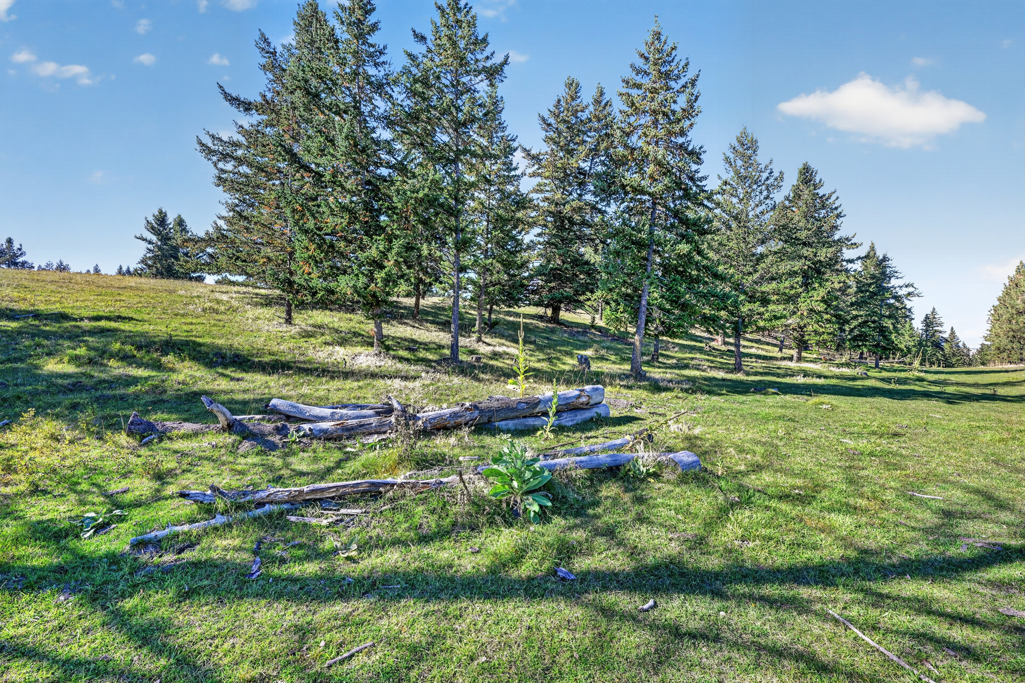 Nhn Black Lake Road Property Photo 16